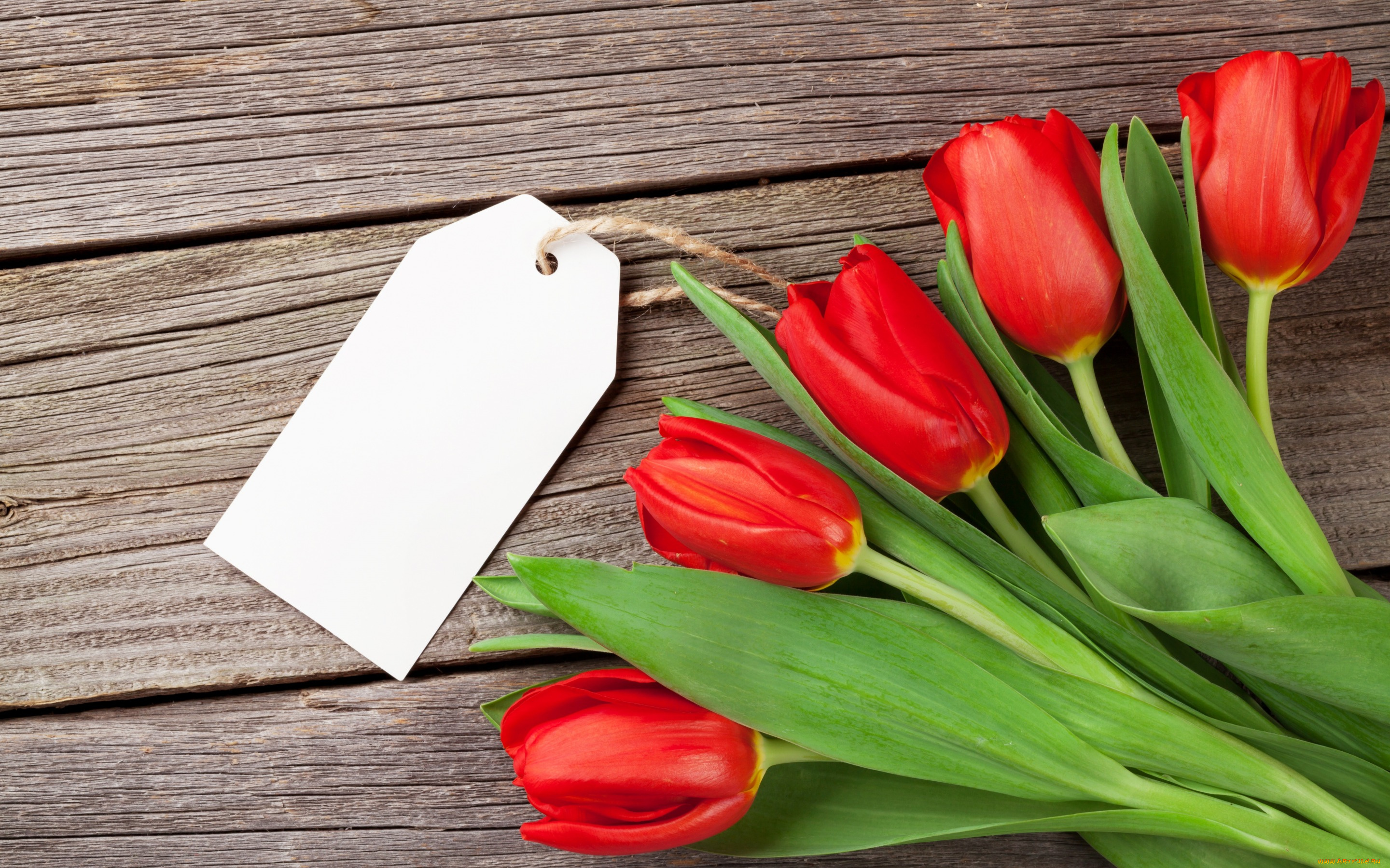 цветы, тюльпаны, wood, love, flowers, red, букет, любовь, tulips, romantic