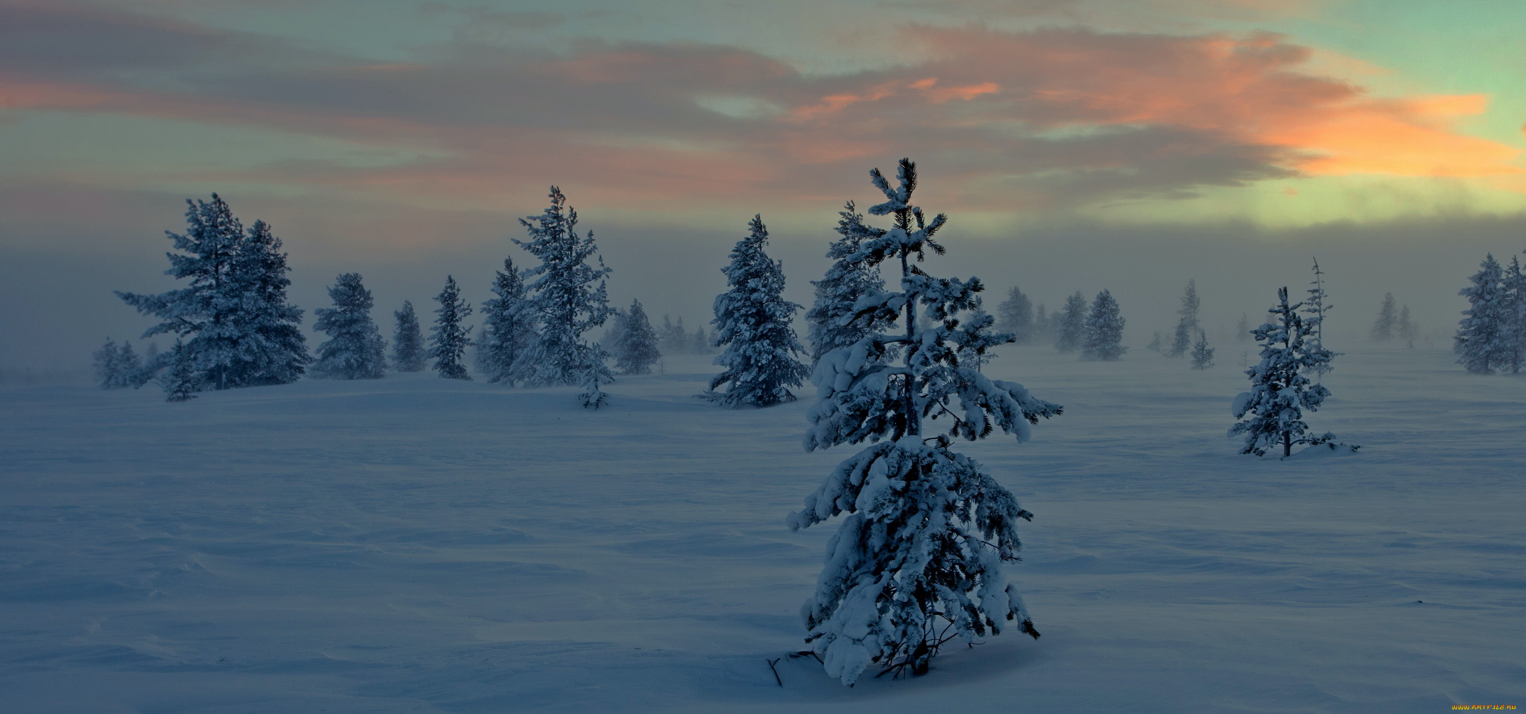 природа, зима, снег, ночь, туман