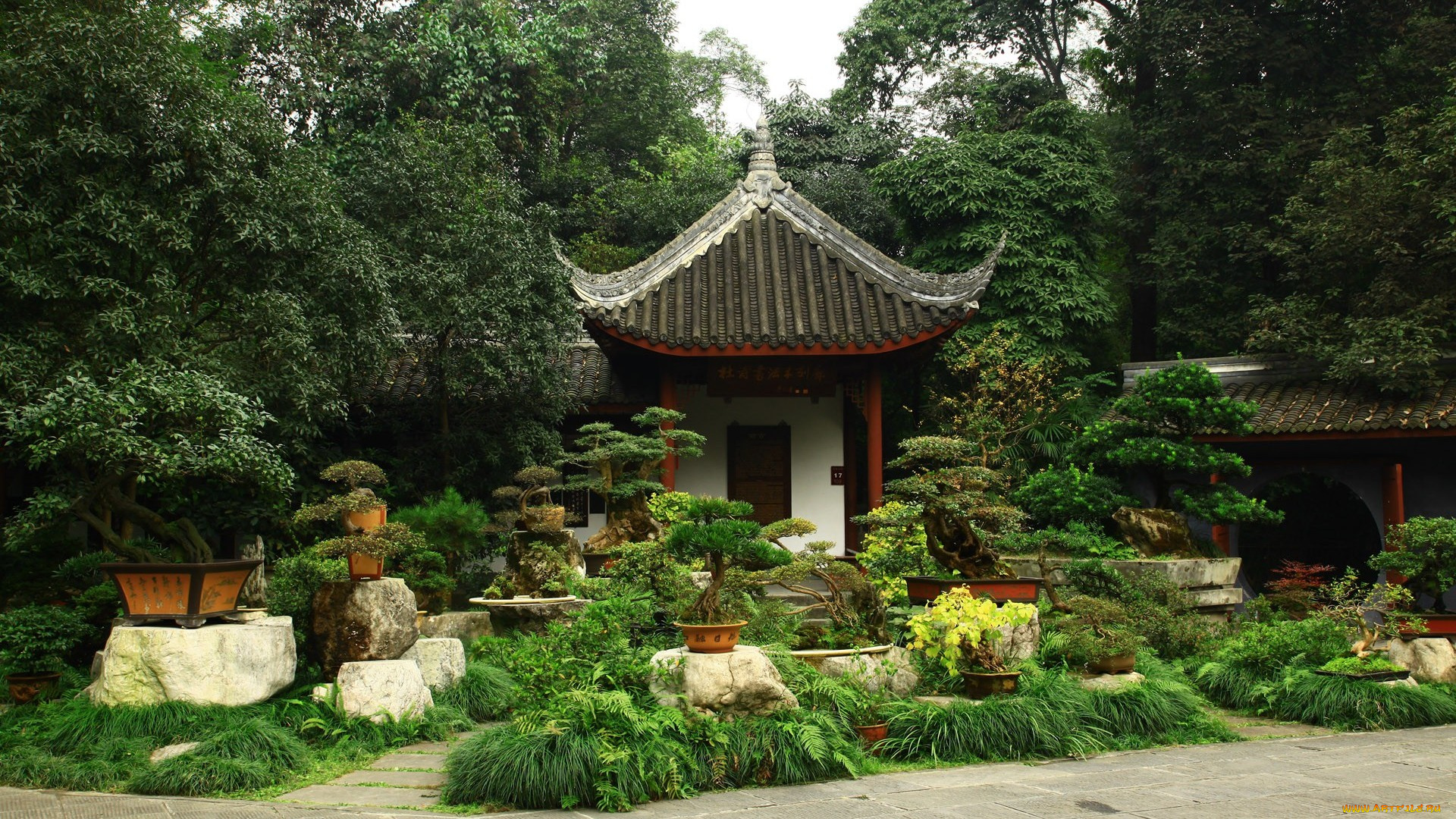 japanese, bonsai, garden, природа, парк, Япония, сад, бонсаи, здание