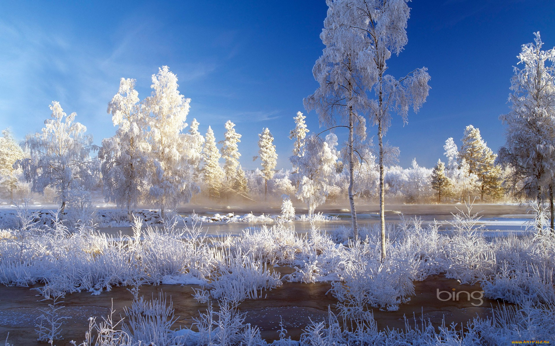 природа, зима, деревья, снег, лед