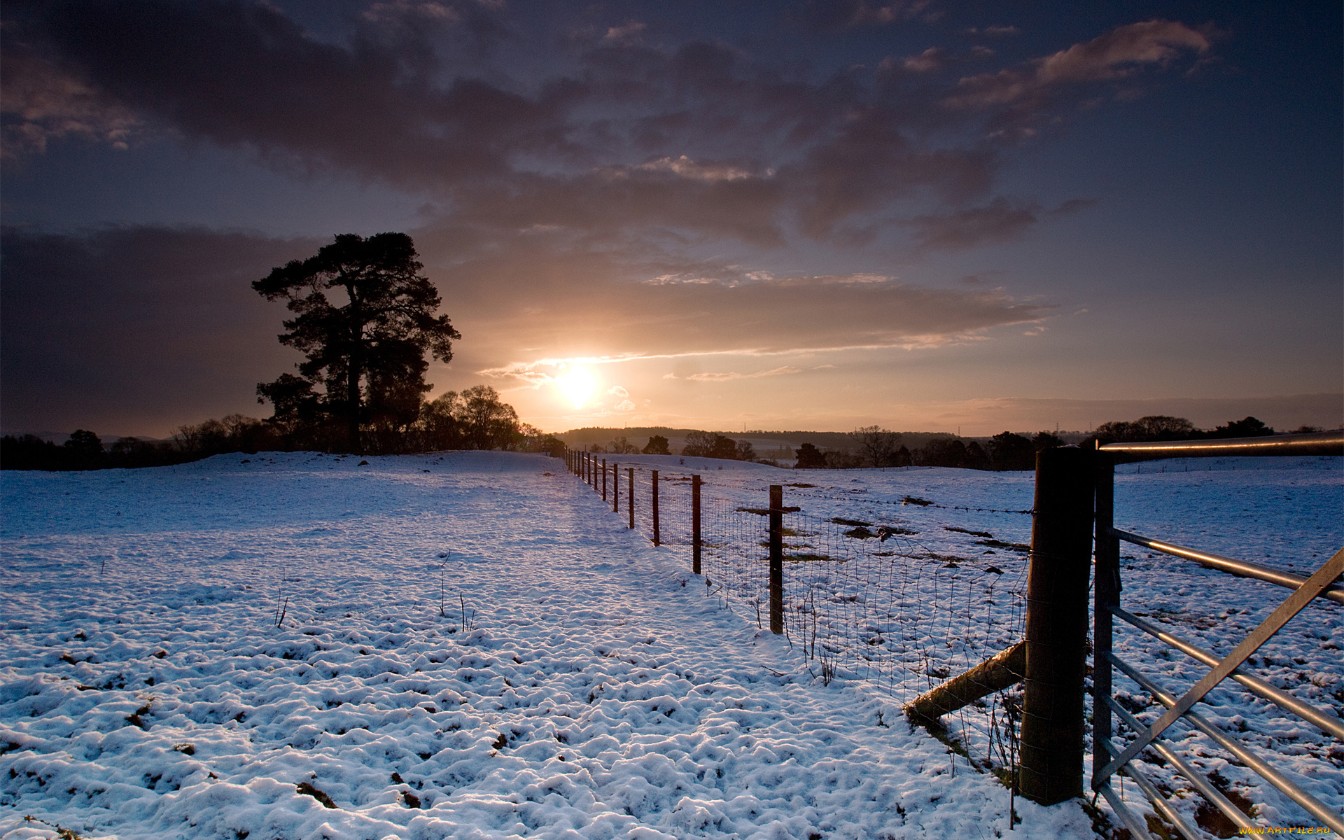 природа, зима, снег, поле, ограда, сумрак