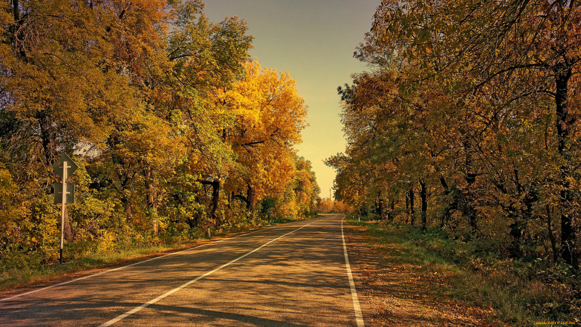 природа, дороги, лес, шоссе, осень