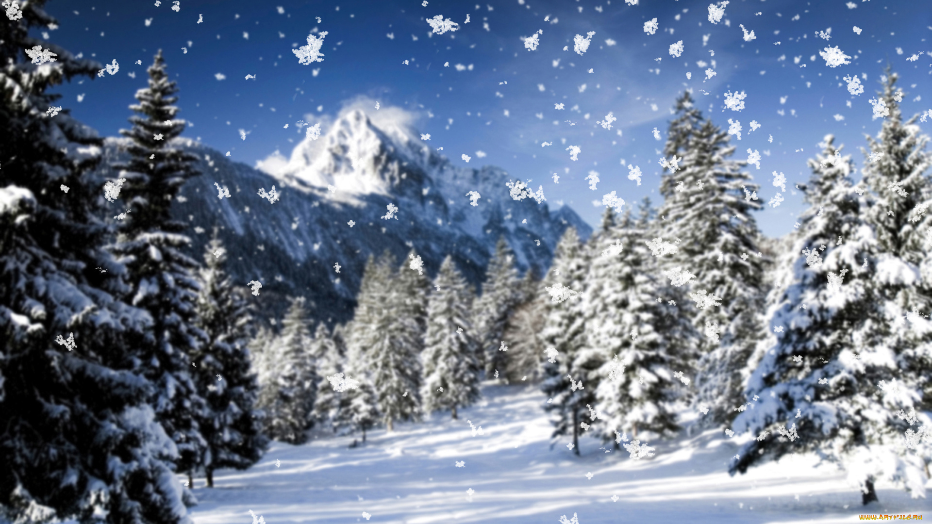 природа, зима, деревья, ёлки, снег, горы