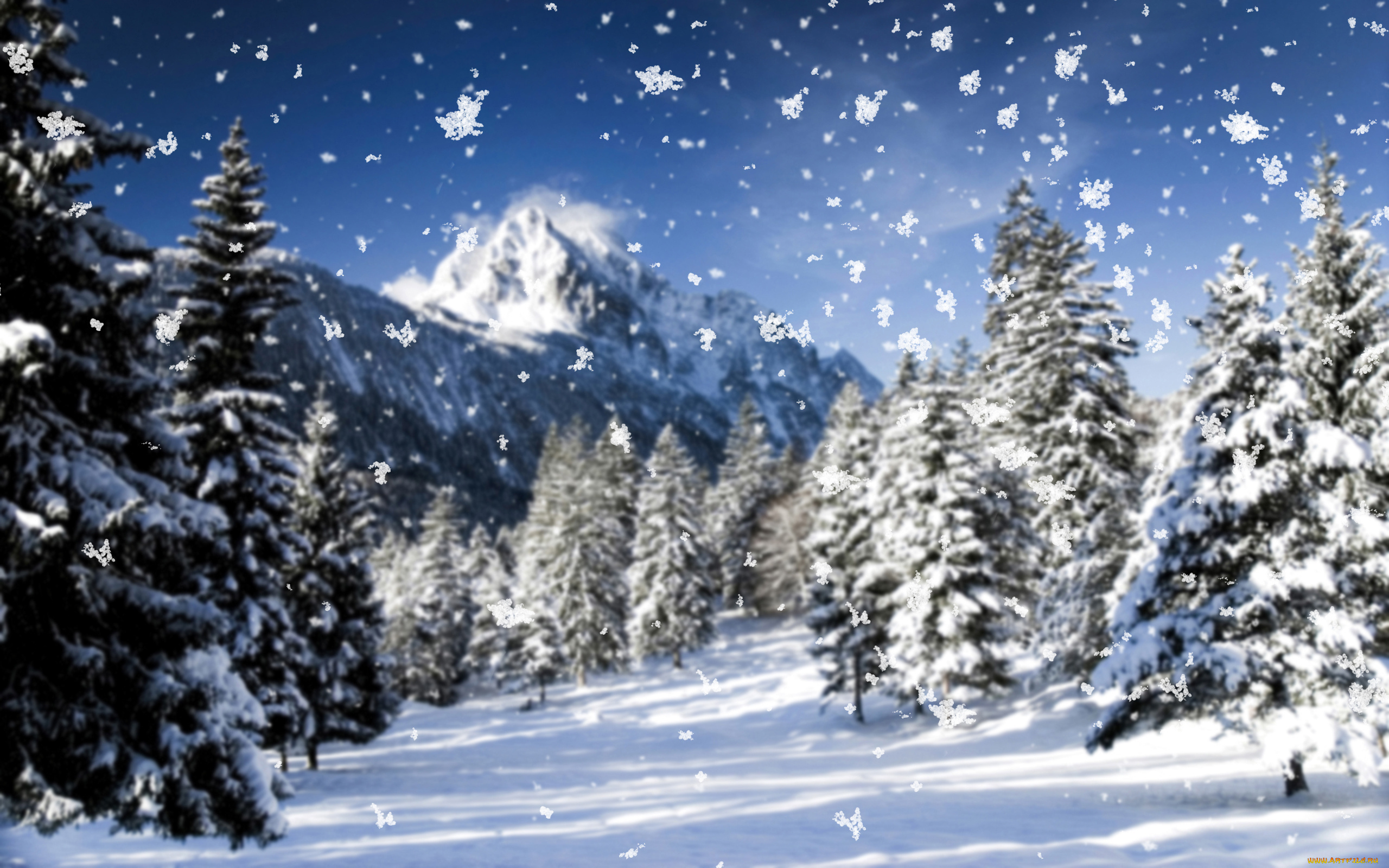 природа, зима, деревья, ёлки, снег, горы