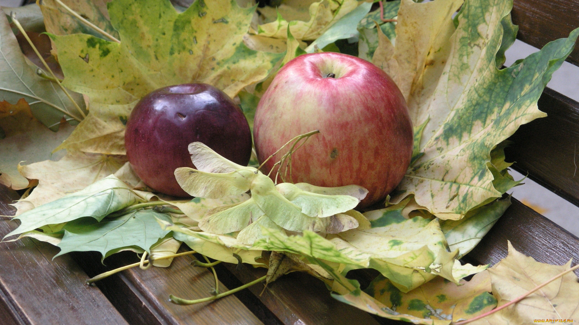 еда, Яблоки, листья
