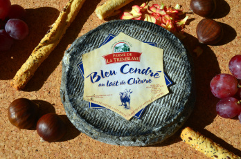 обоя bleu cendr&, 233, еда, сырные изделия, сыр