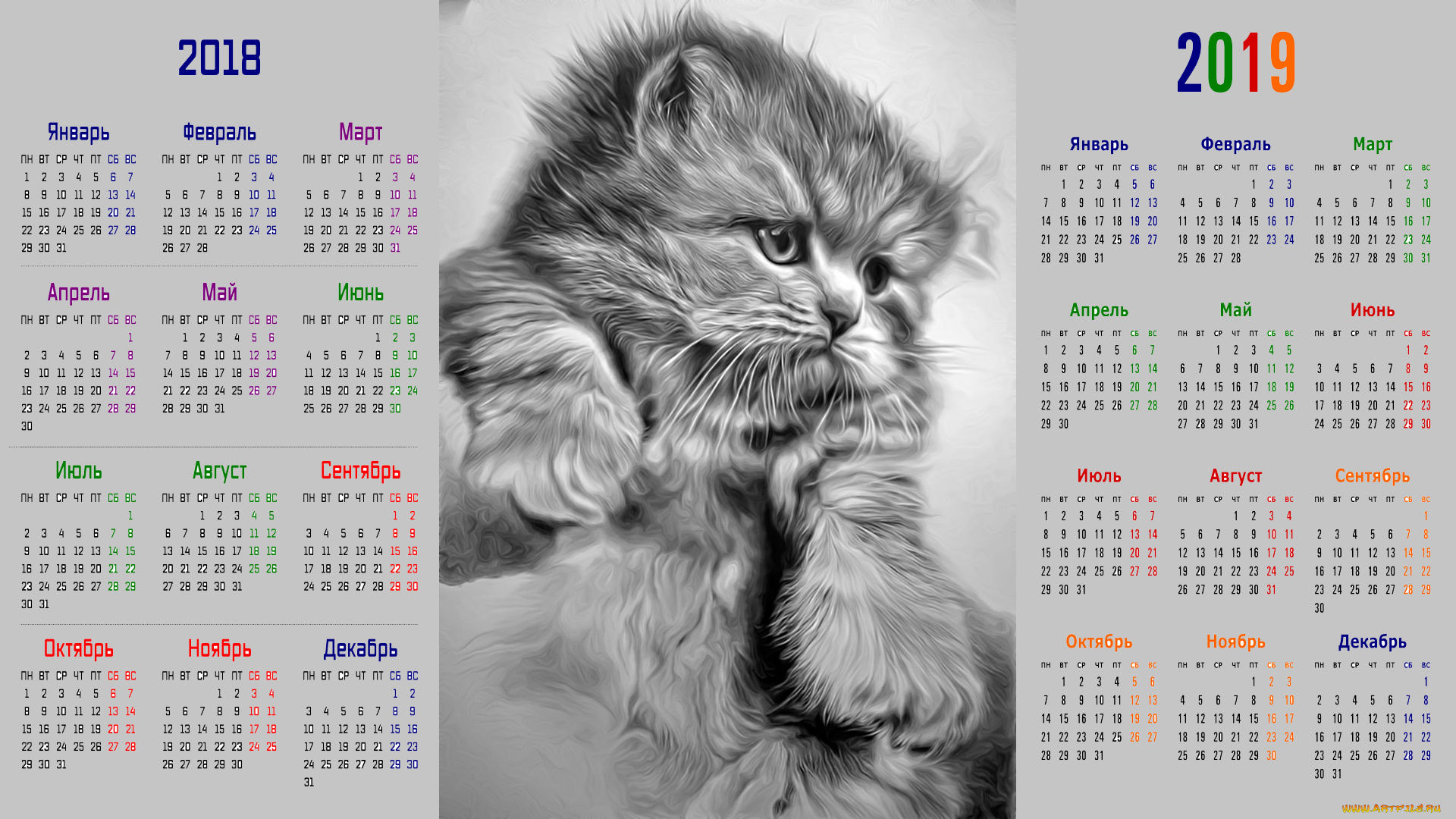 календари, рисованные, , векторная, графика, кошка, взгляд
