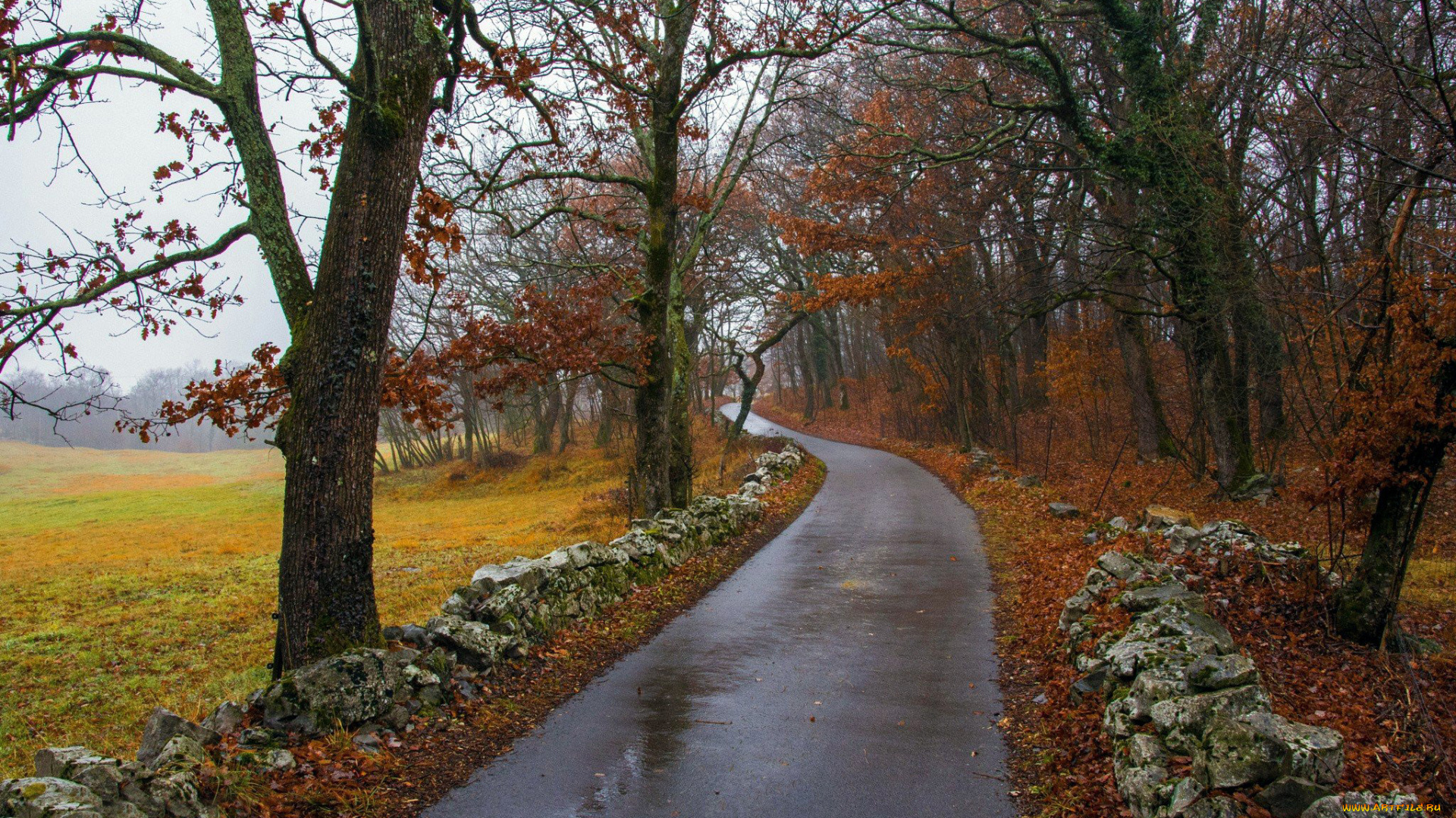 природа, дороги, осень, дорога, дождь