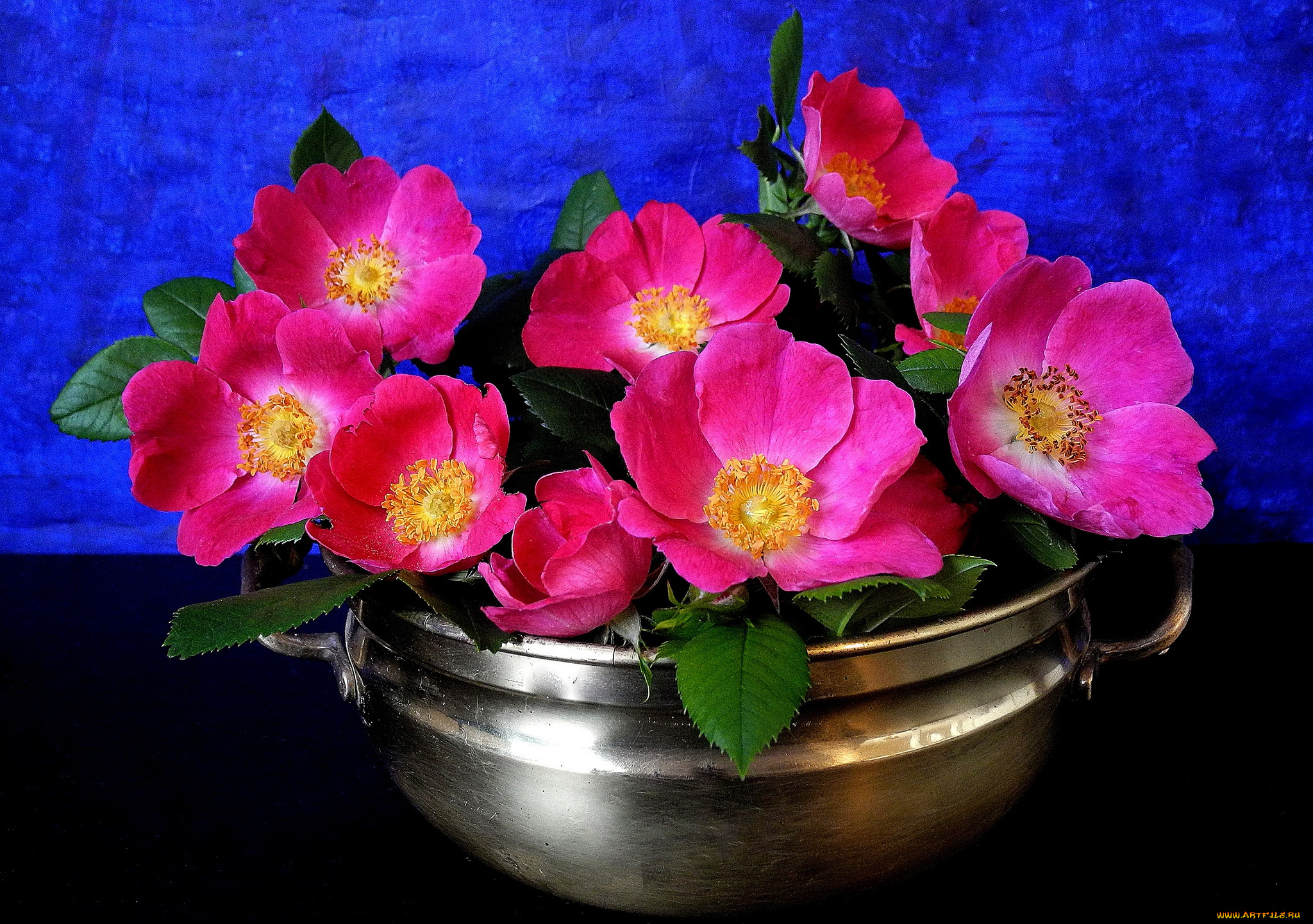 цветы, шиповник, розовый, яркий, миска