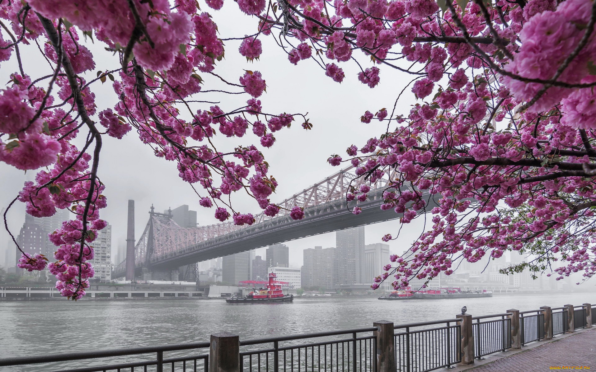 города, нью-йорк, , сша, queensboro, bridge, manhattan, east, river