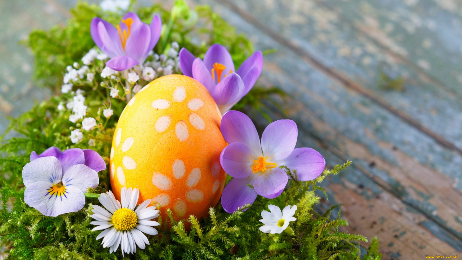праздничные, пасха, цветы, яйцо