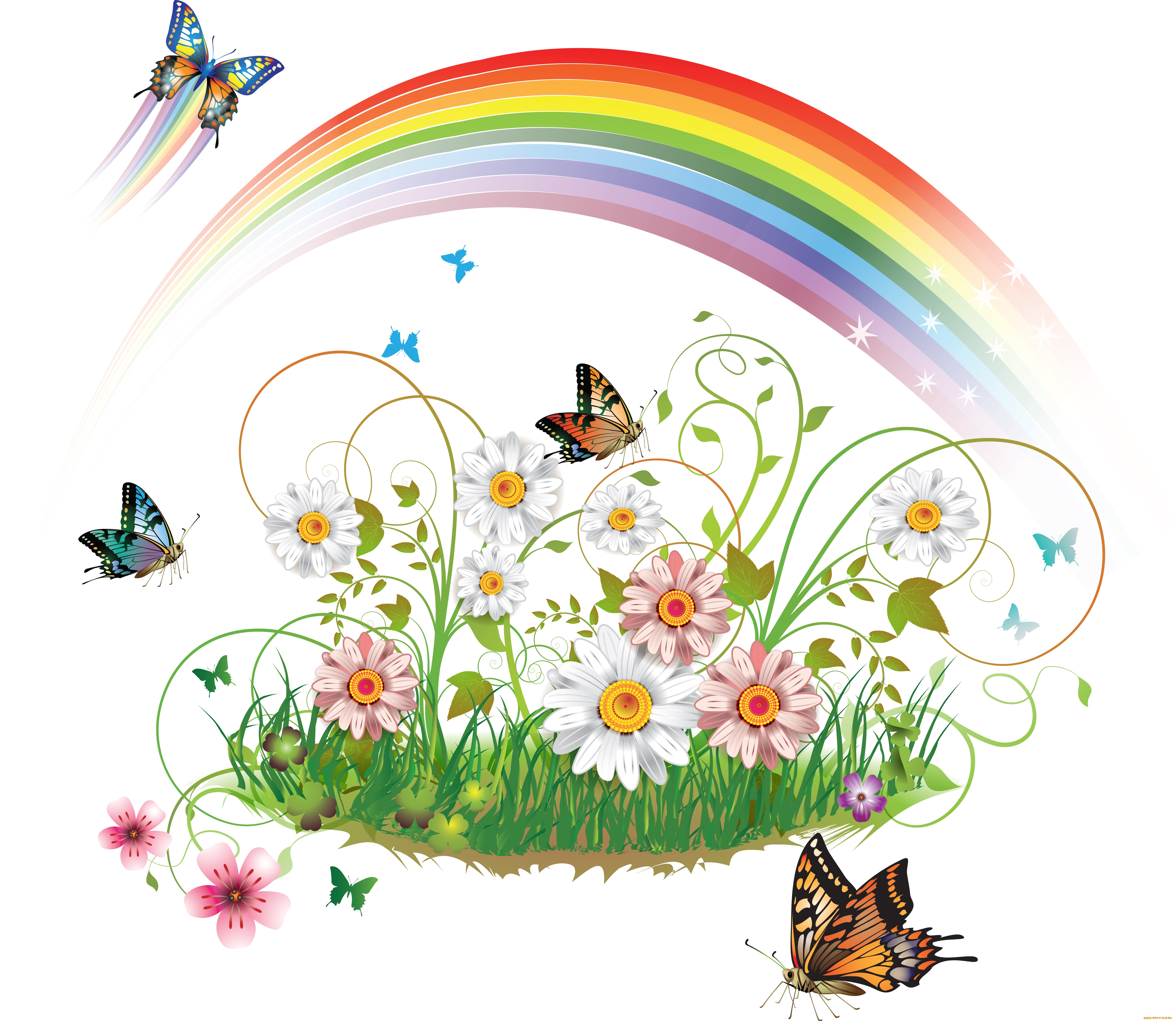 векторная, графика, цветы, радуга, бабочки
