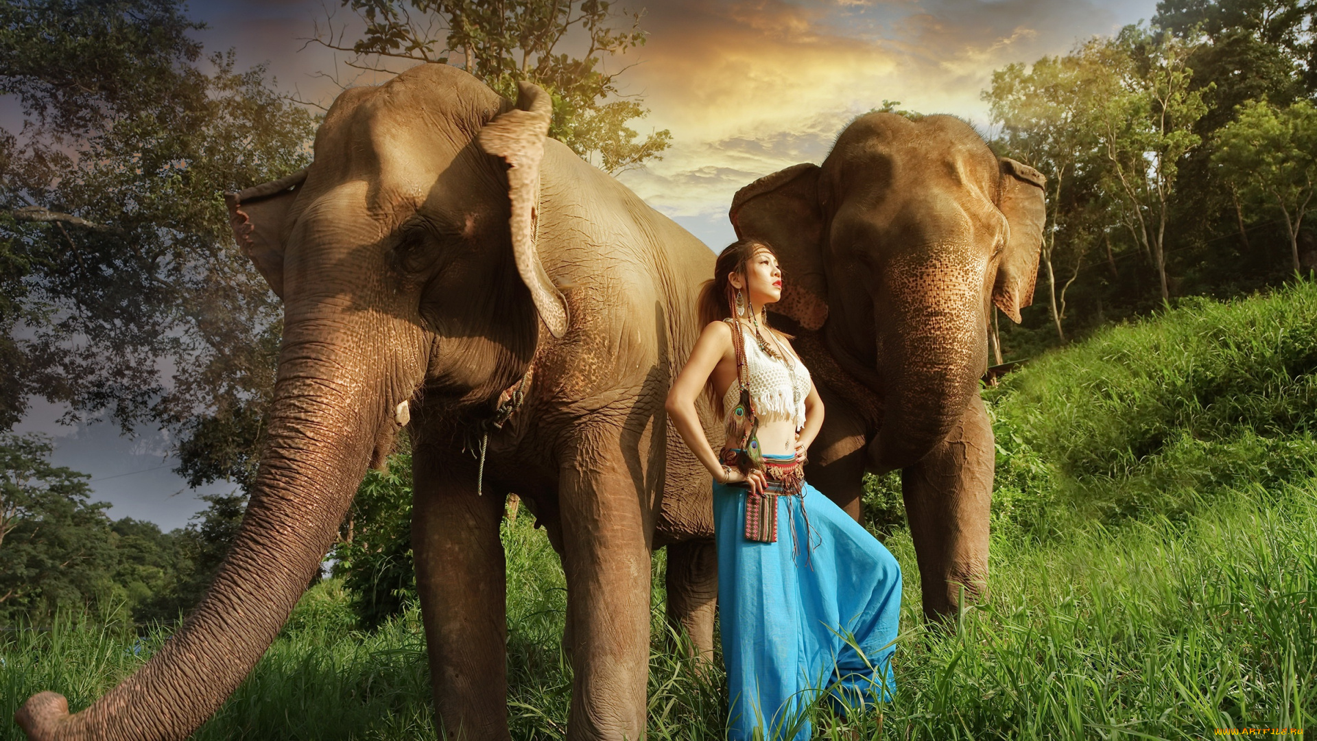 животные, слоны, девушка, азиатка