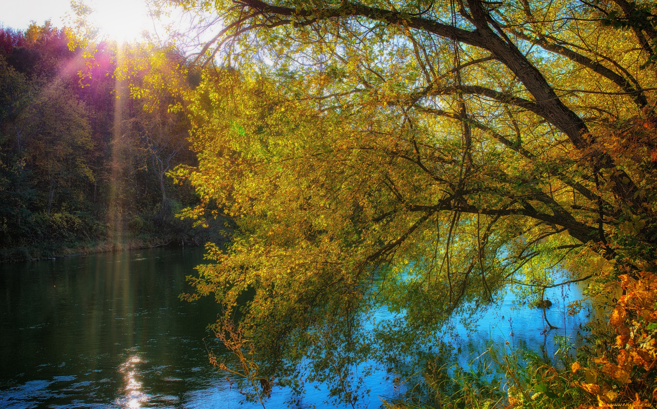 природа, реки, озера, свет, желтая, листва, береза, река, осень