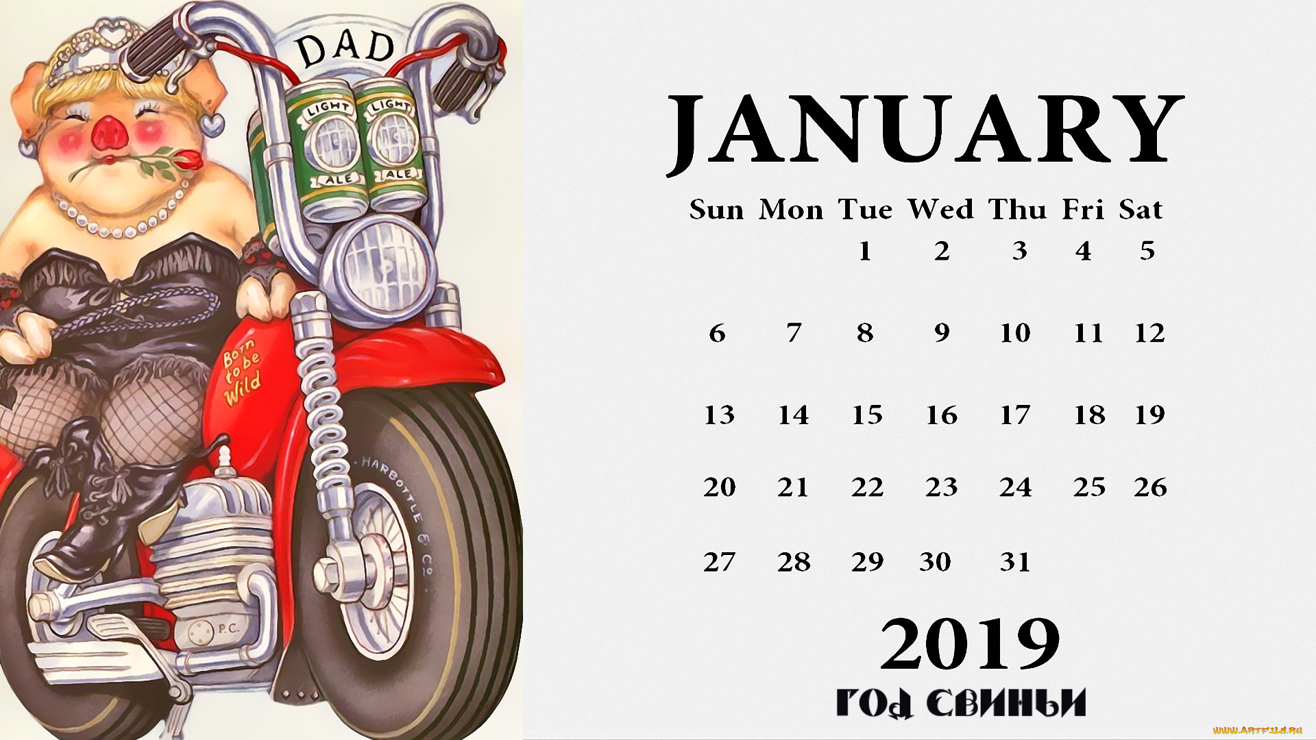 календари, праздники, , салюты, мотоцикл, свинья, роза