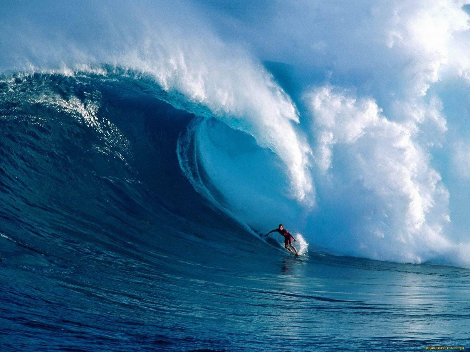 magnitude, maui, hawaii, спорт, серфинг