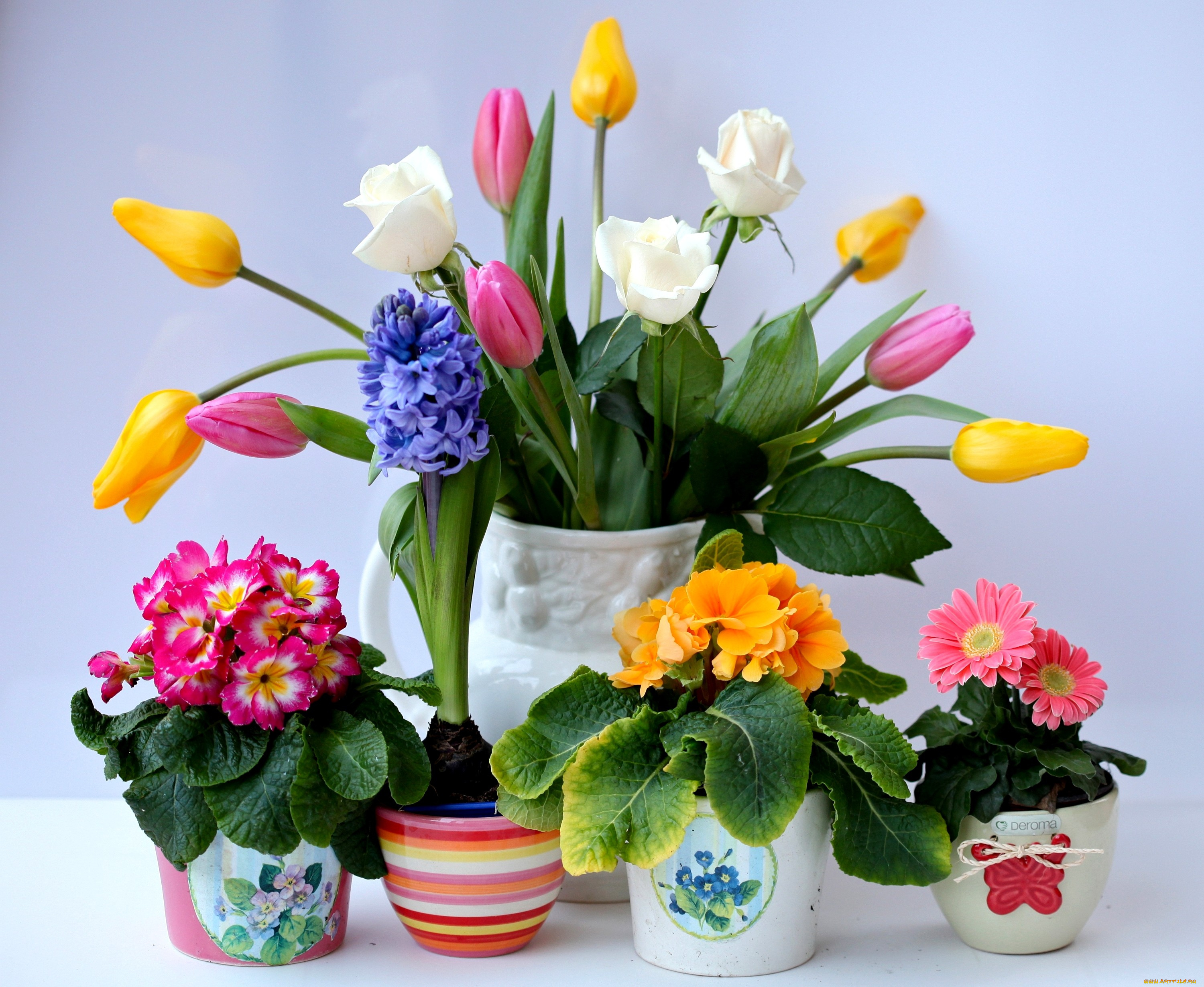 цветы, разные, вместе, тюльпаны, гиацинт, герберы, примулы