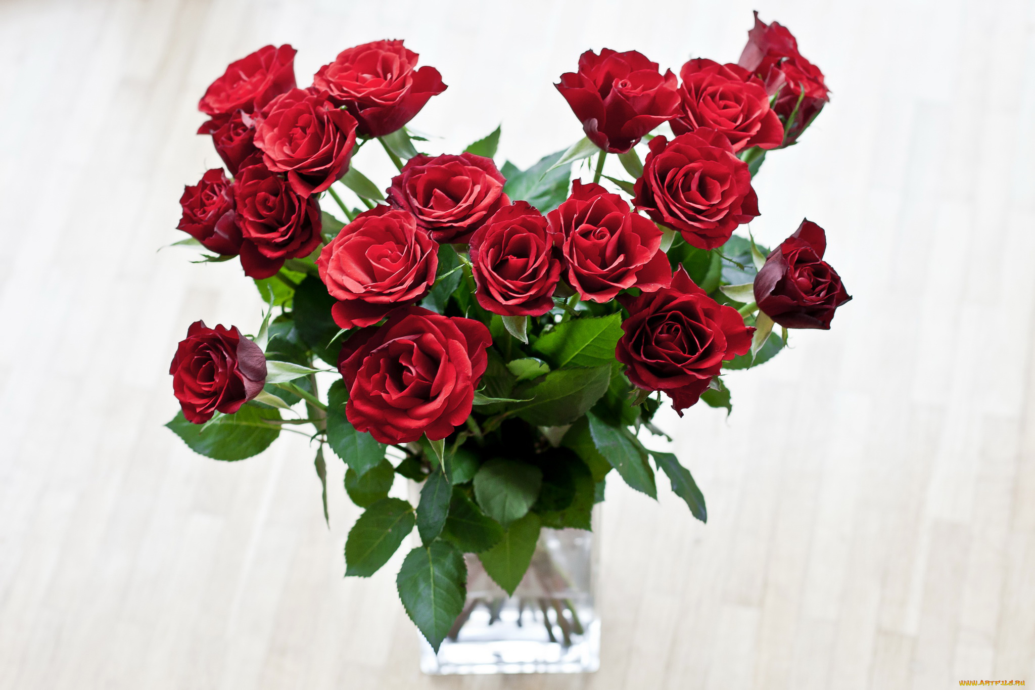 цветы, розы, ваза, красные
