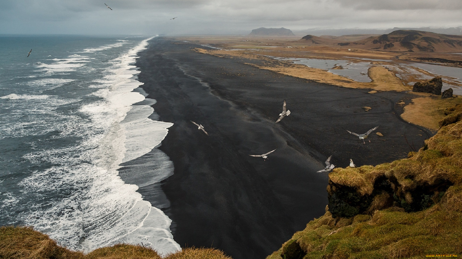 природа, побережье, dyrholaey, исландия, море, птицы, прибой, юрий, Чернов, скалы