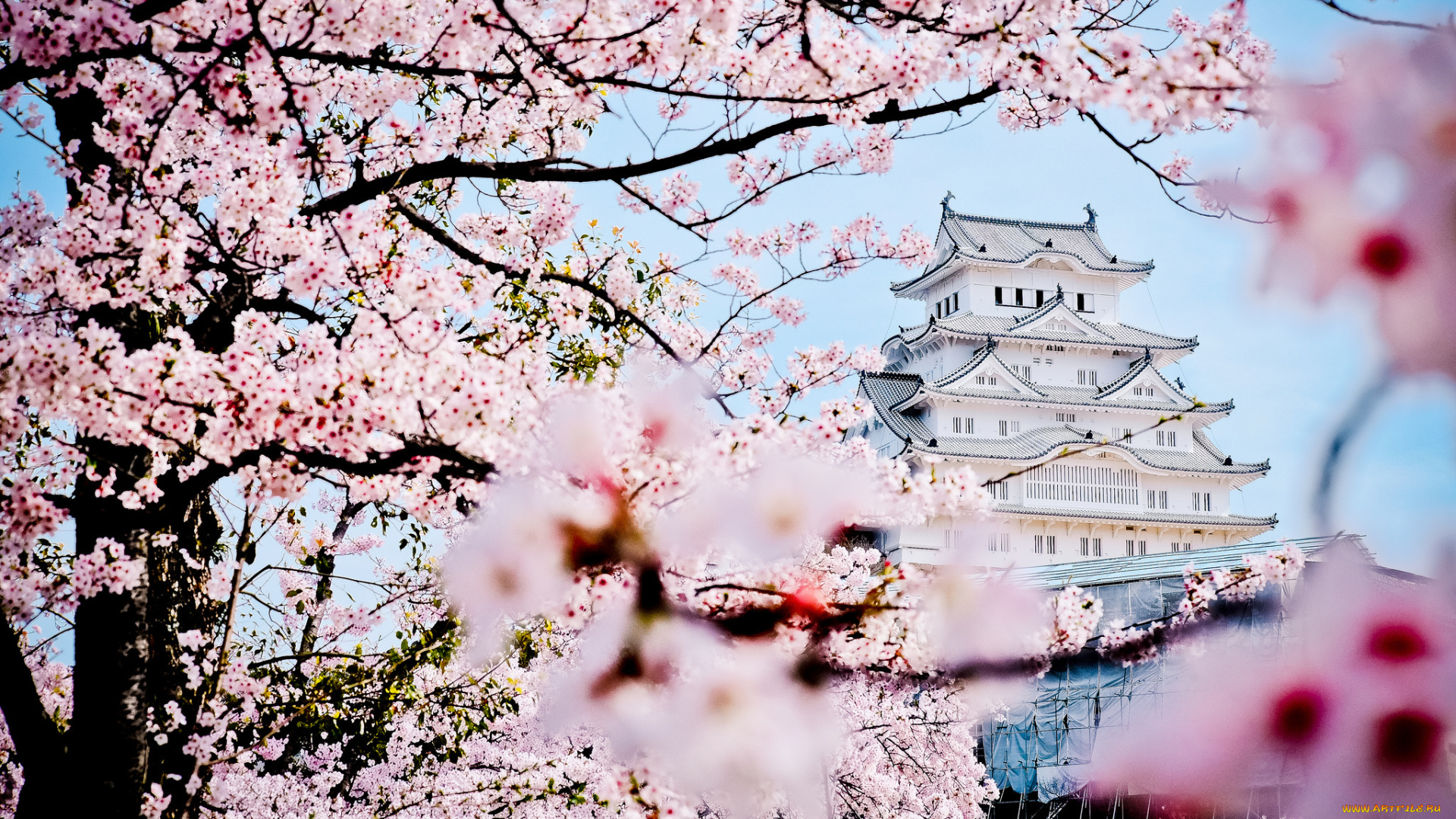 города, замки, Японии, замок, Япония, весна, сакура, дворец, пагода