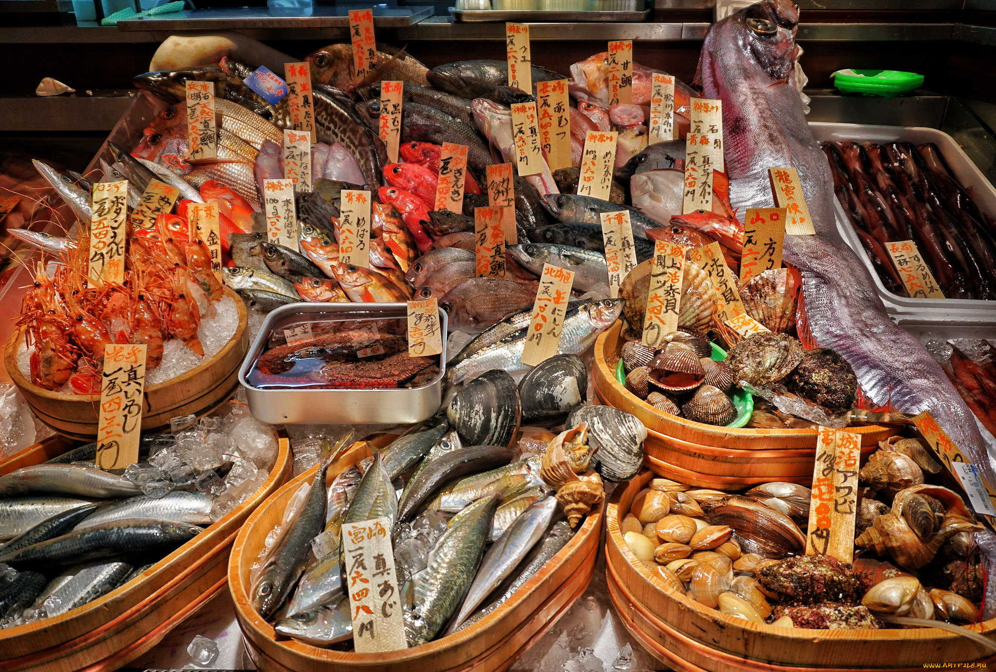 еда, рыба, , морепродукты, , суши, , роллы, снедь
