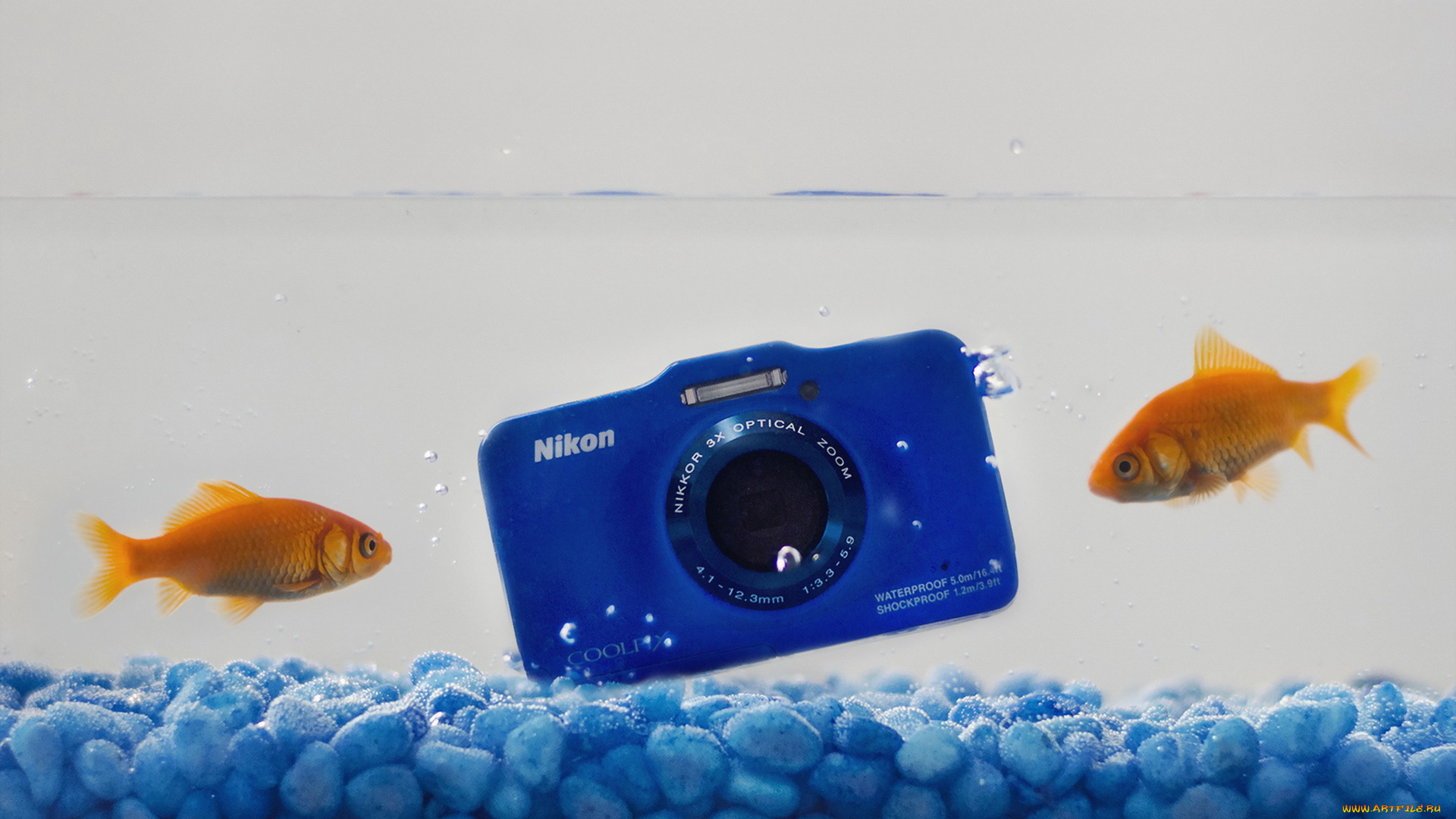 бренды, nikon, камера, никон, фотоаппарат, камни, рыбки, вода, синий
