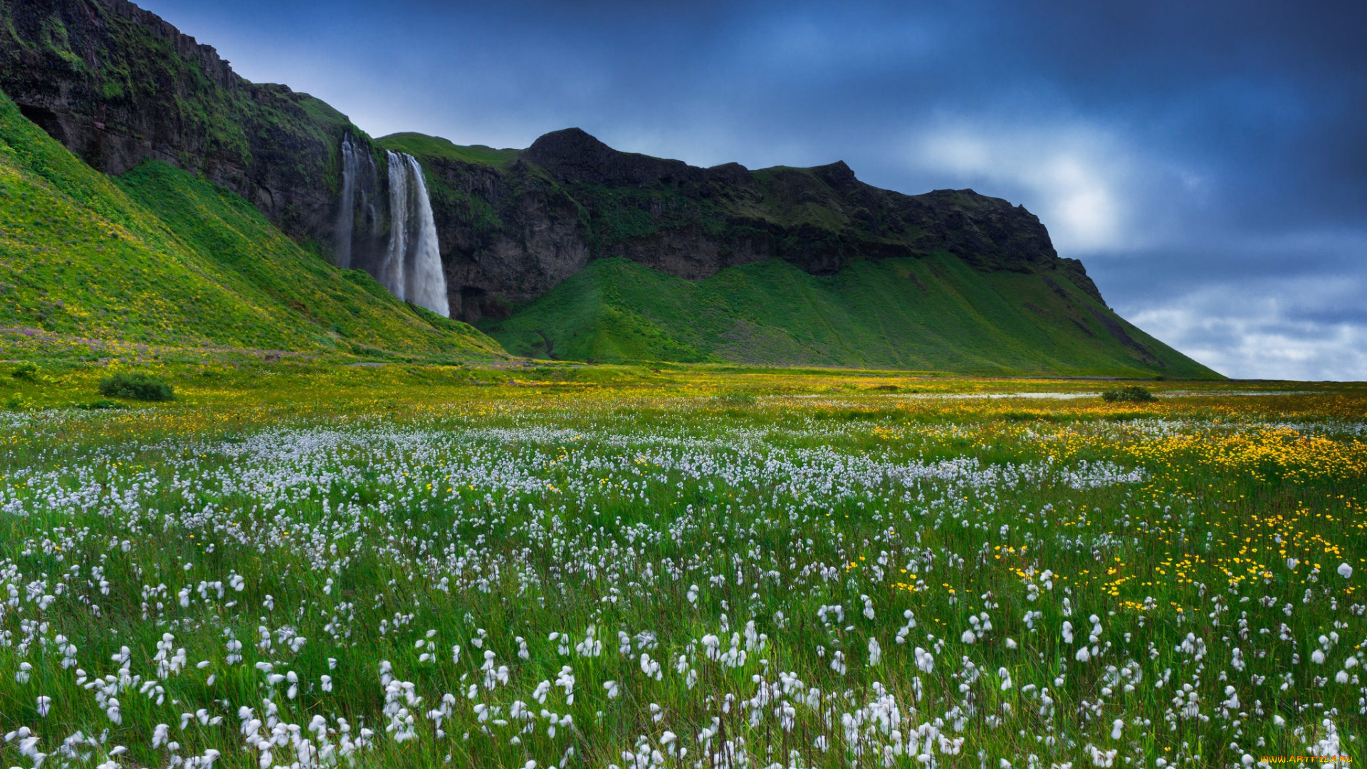 природа, водопады, исландия, скалы, цветы, трава, водопад