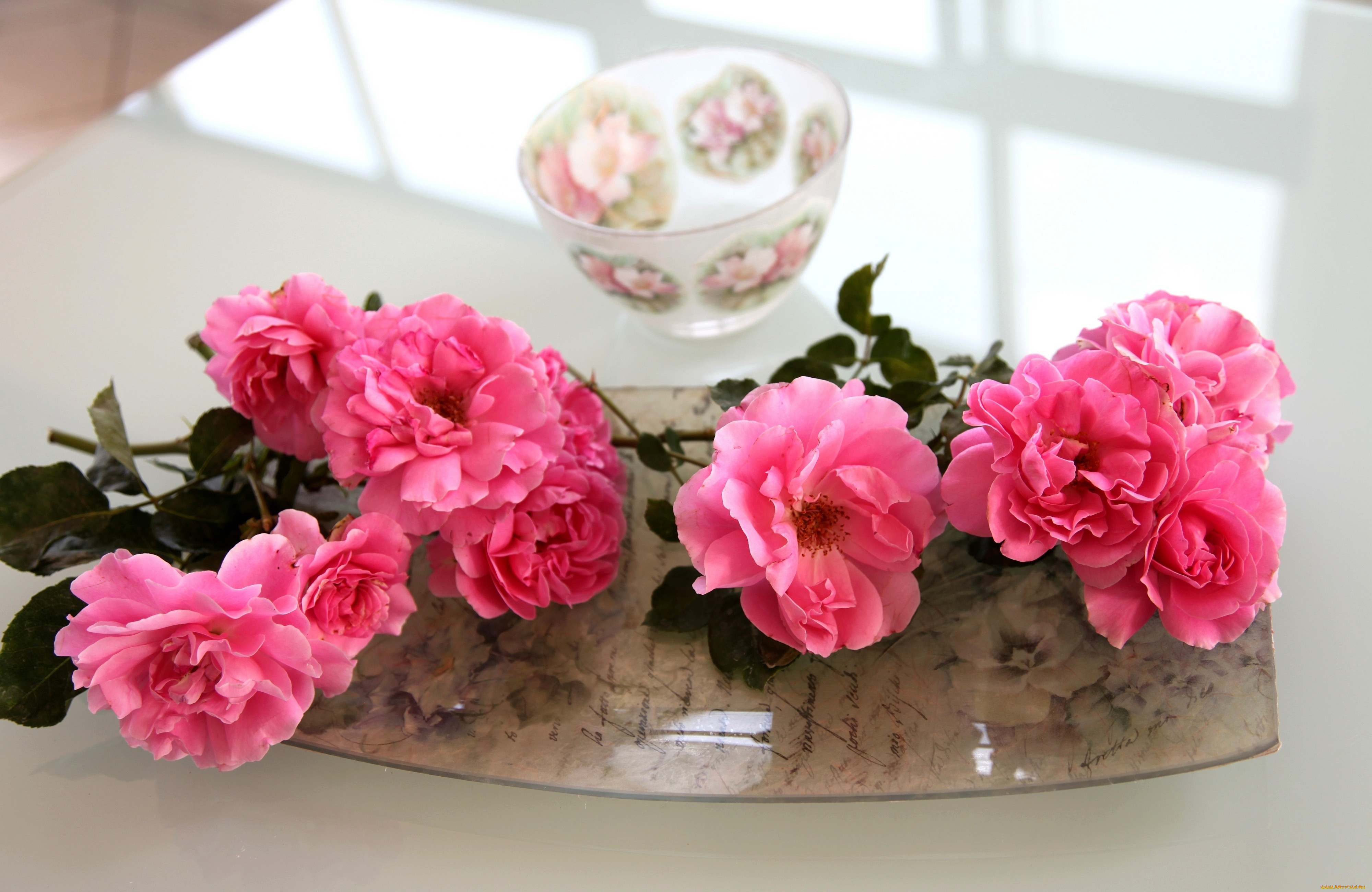 цветы, розы, чашка, розовый, поднос