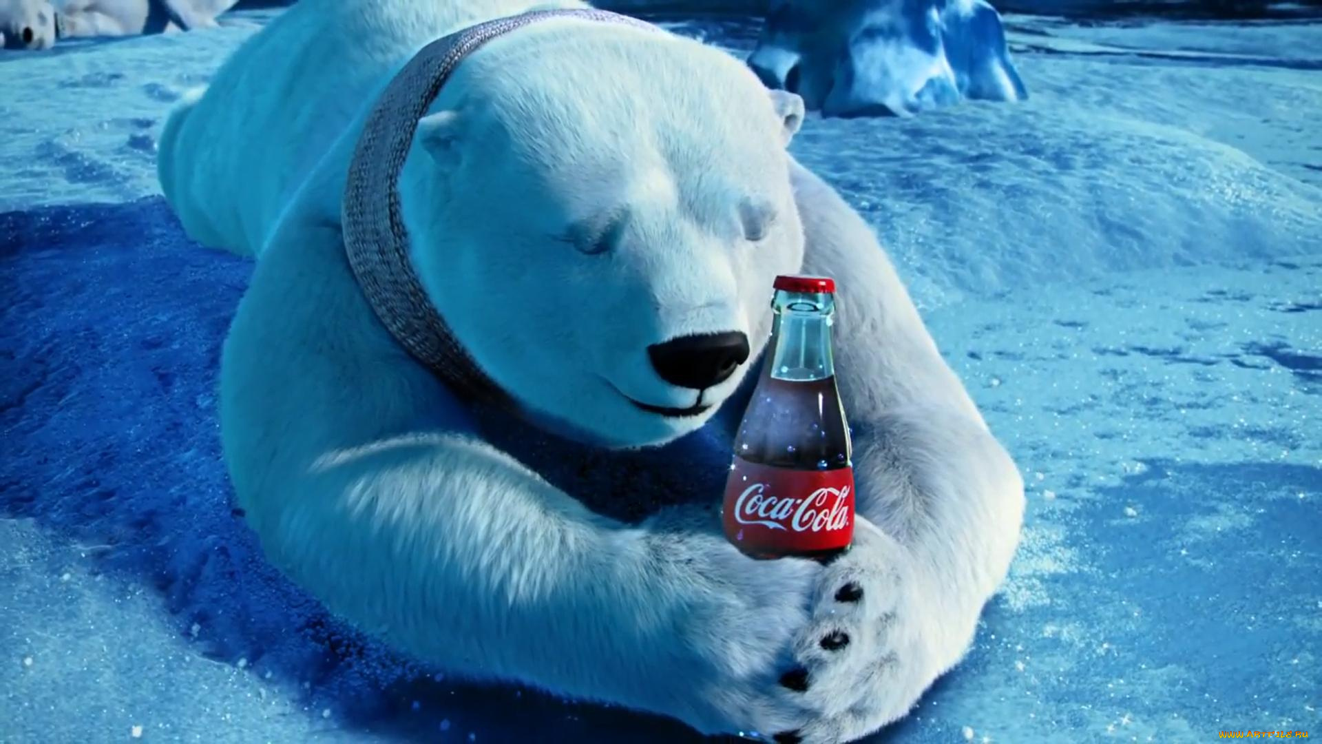 бренды, coca-cola, медведь