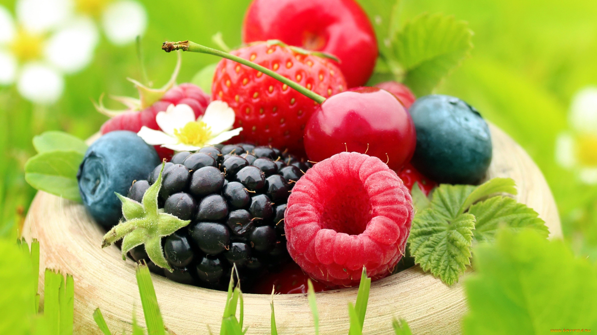 еда, фрукты, , ягоды, ежевика, клубника, малина