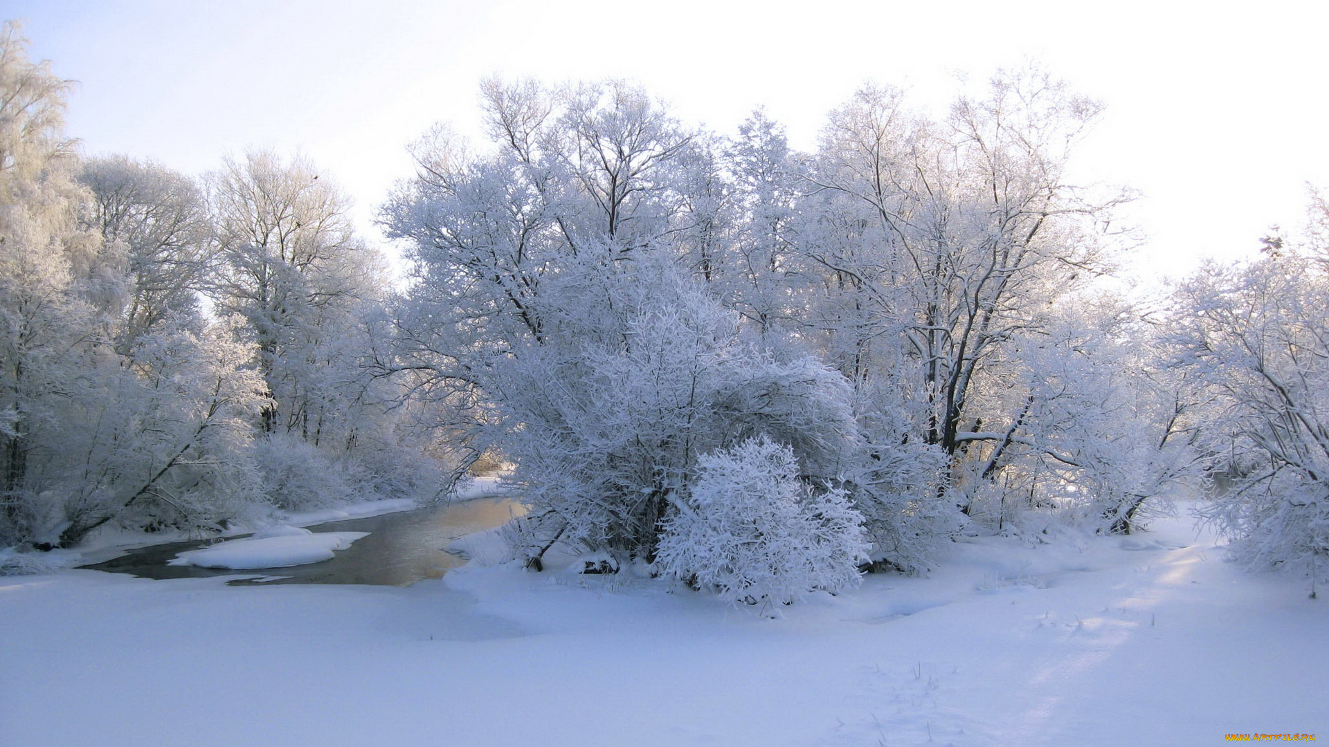 природа, зима, деревья, снег, вода