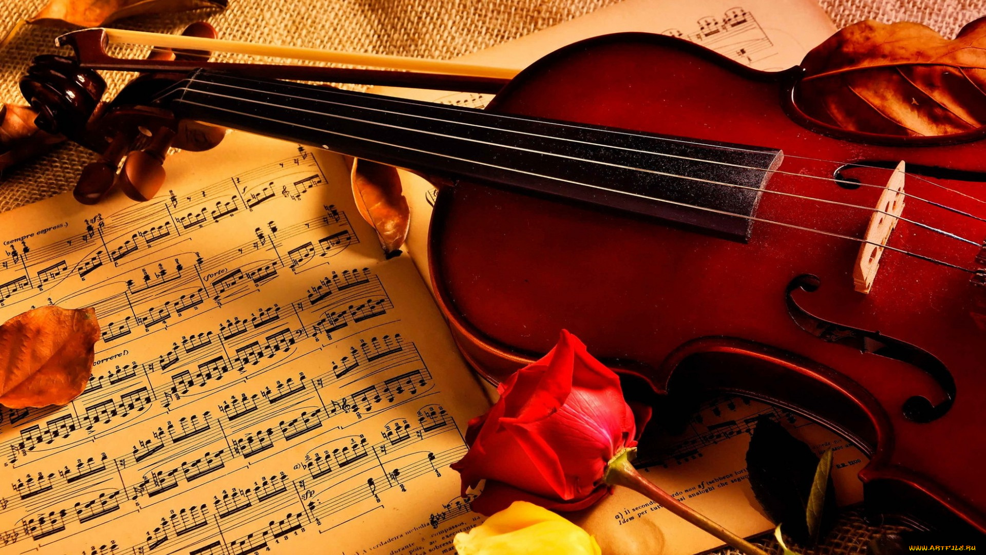 музыка, -музыкальные, инструменты, розы, ноты, скрипка