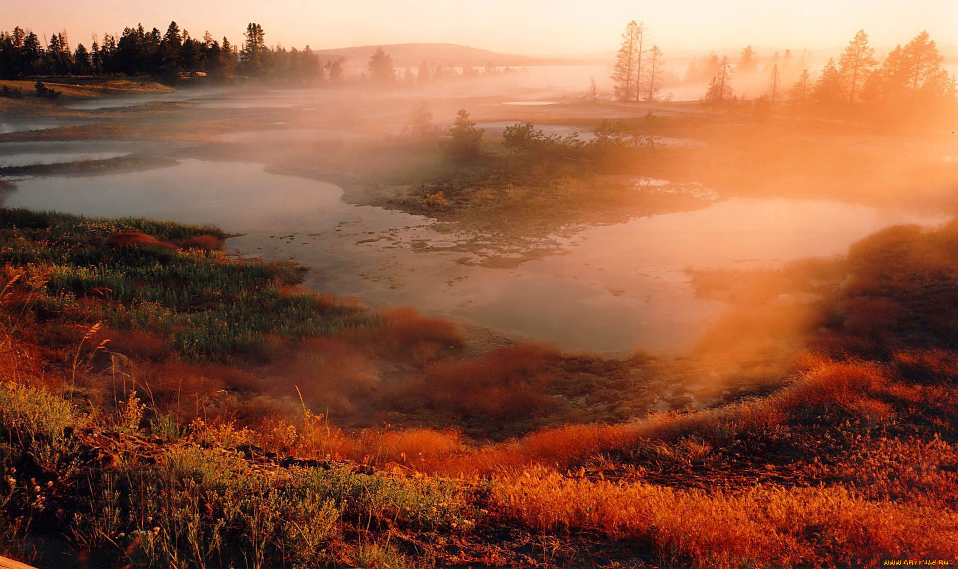 природа, реки, озера, рассвет, туман, осень, трава, парк, yellowstone