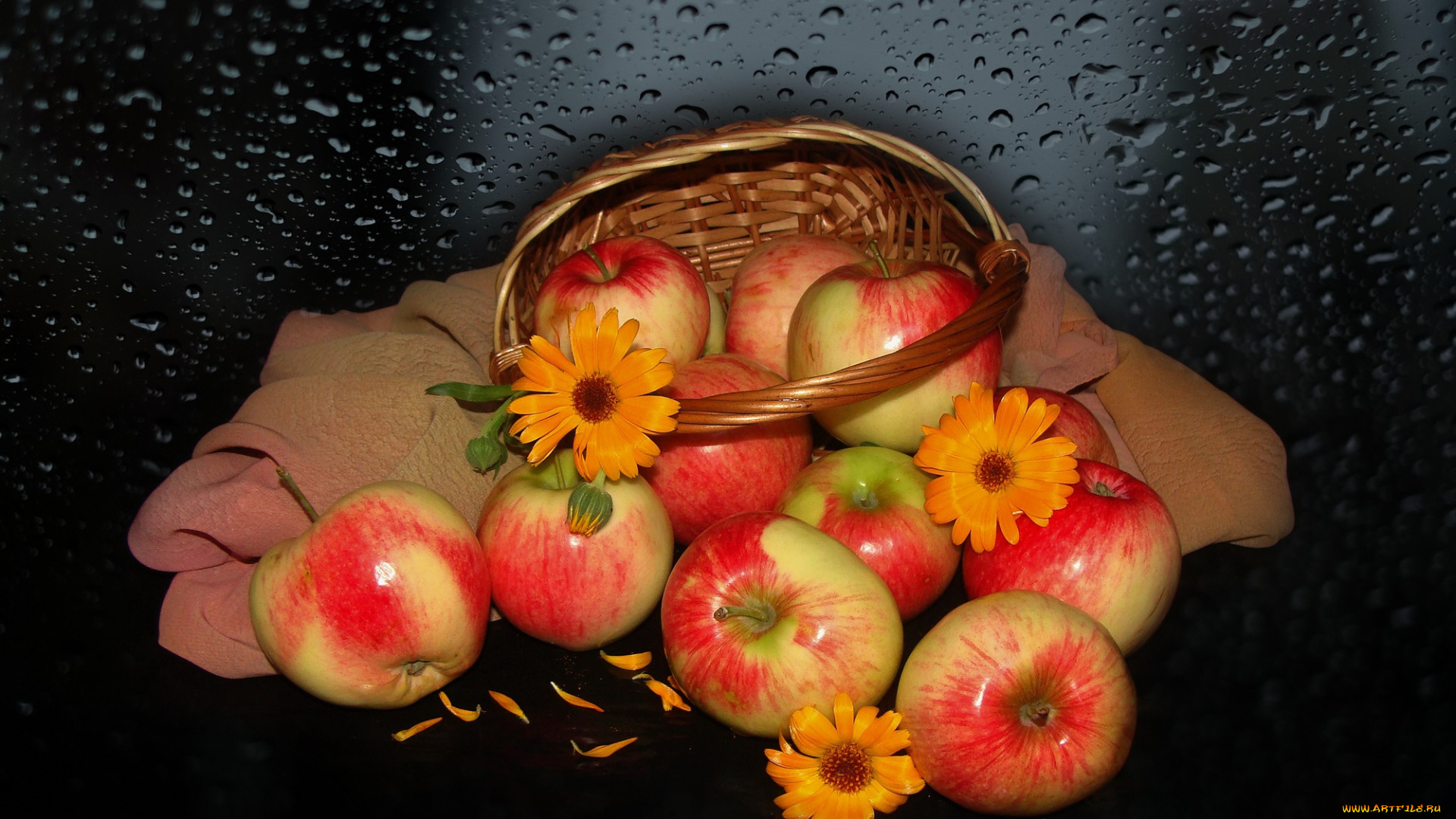 еда, Яблоки, beauty, beautiful, красивые, harmony, корзинка, красота, яблоки, настроение, цветы, природа