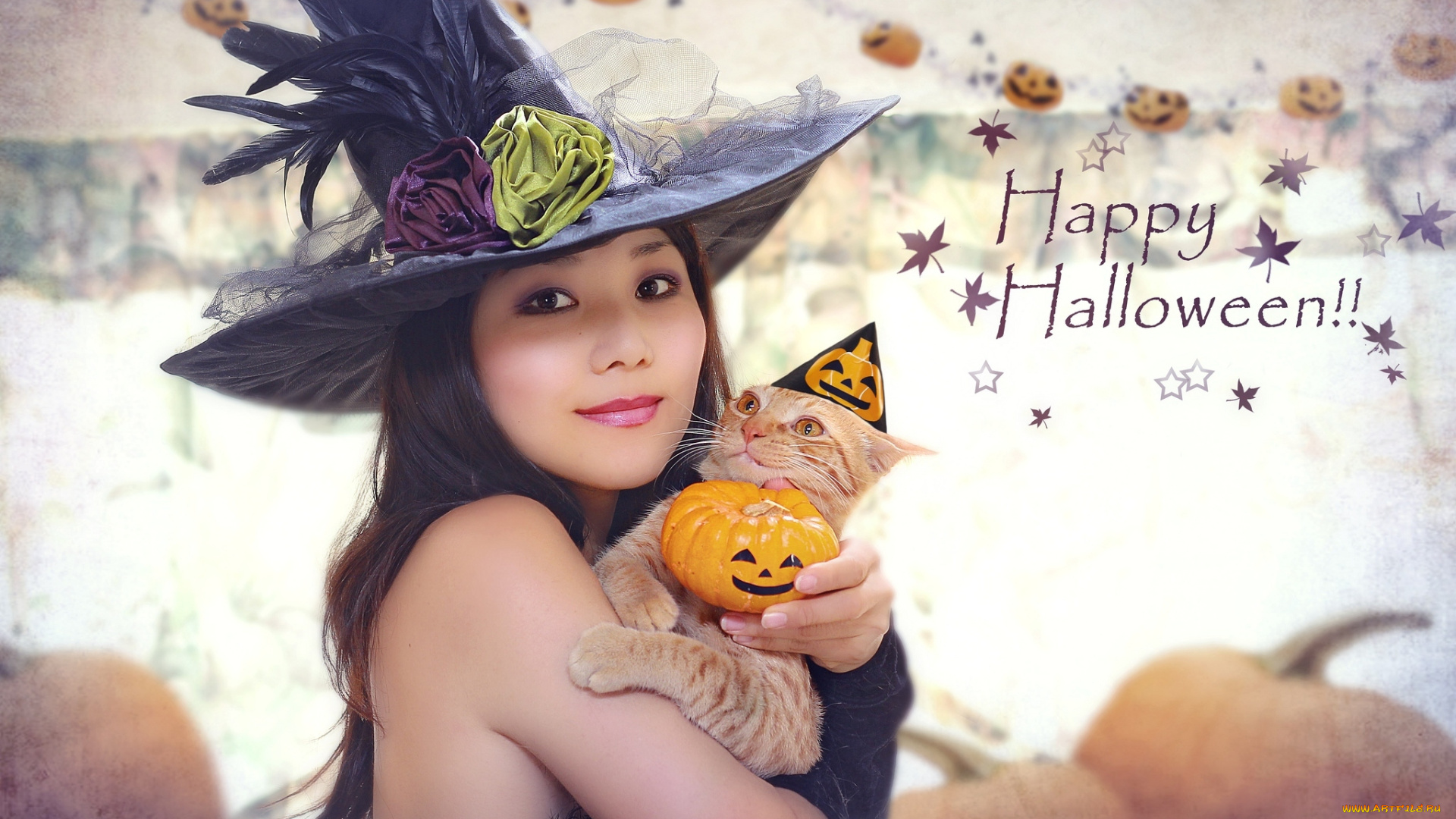 праздничные, хэллоуин, ведьма, колпак, девушка, азиатка, кот
