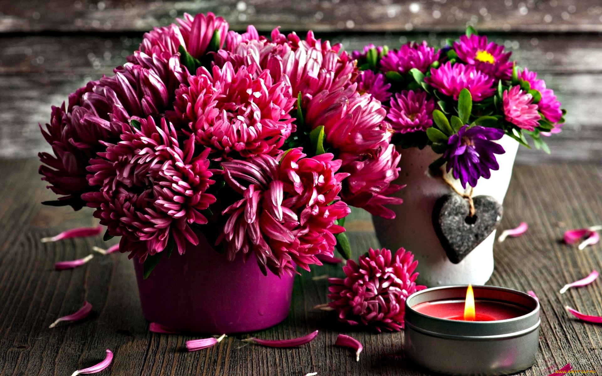 цветы, хризантемы, букет, свеча