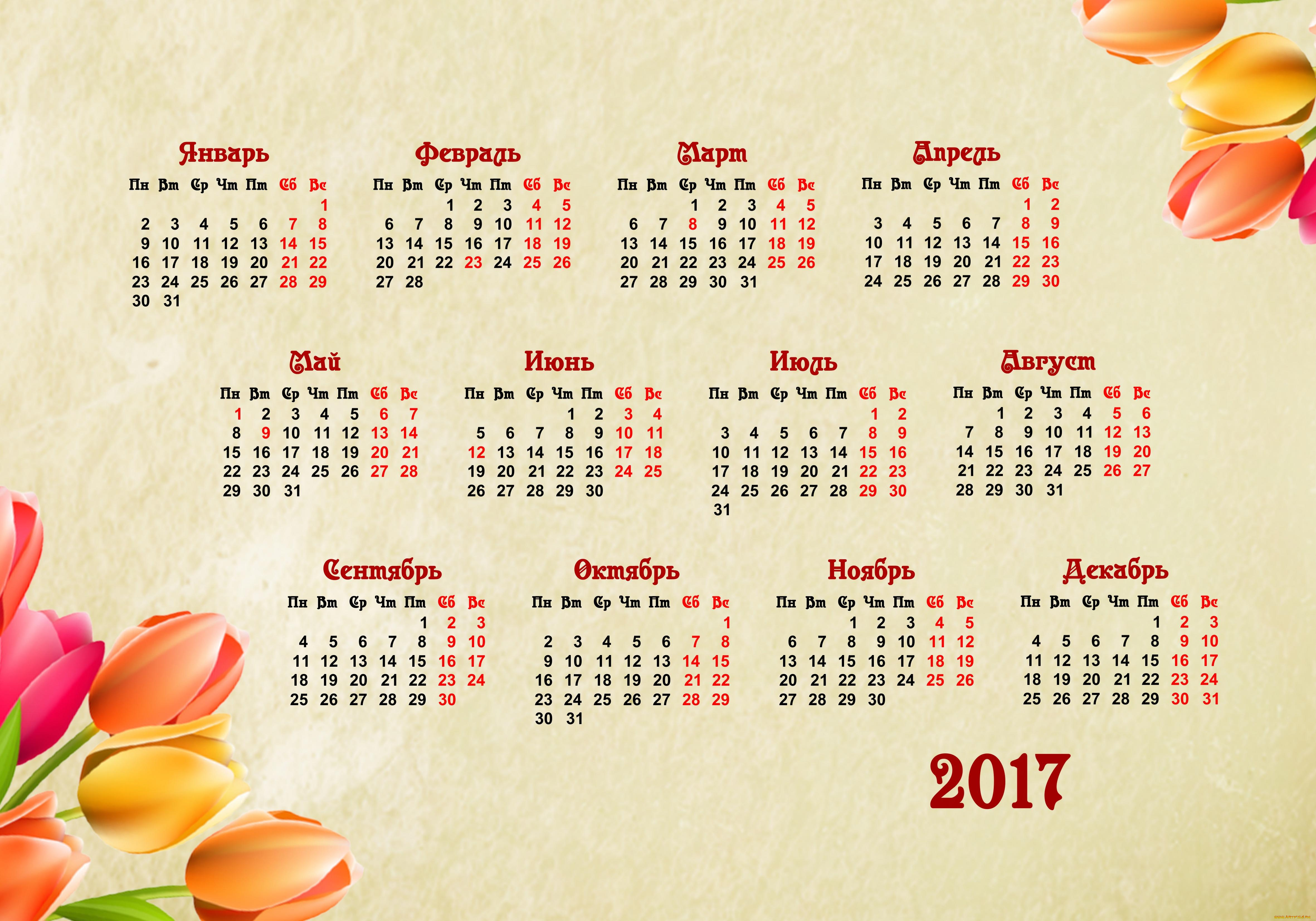 календари, цветы, календарь, фон