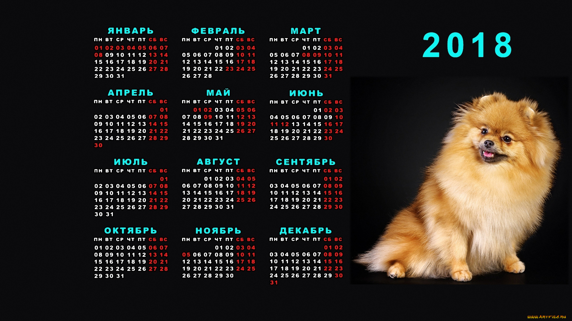 календари, животные, календарь, собака