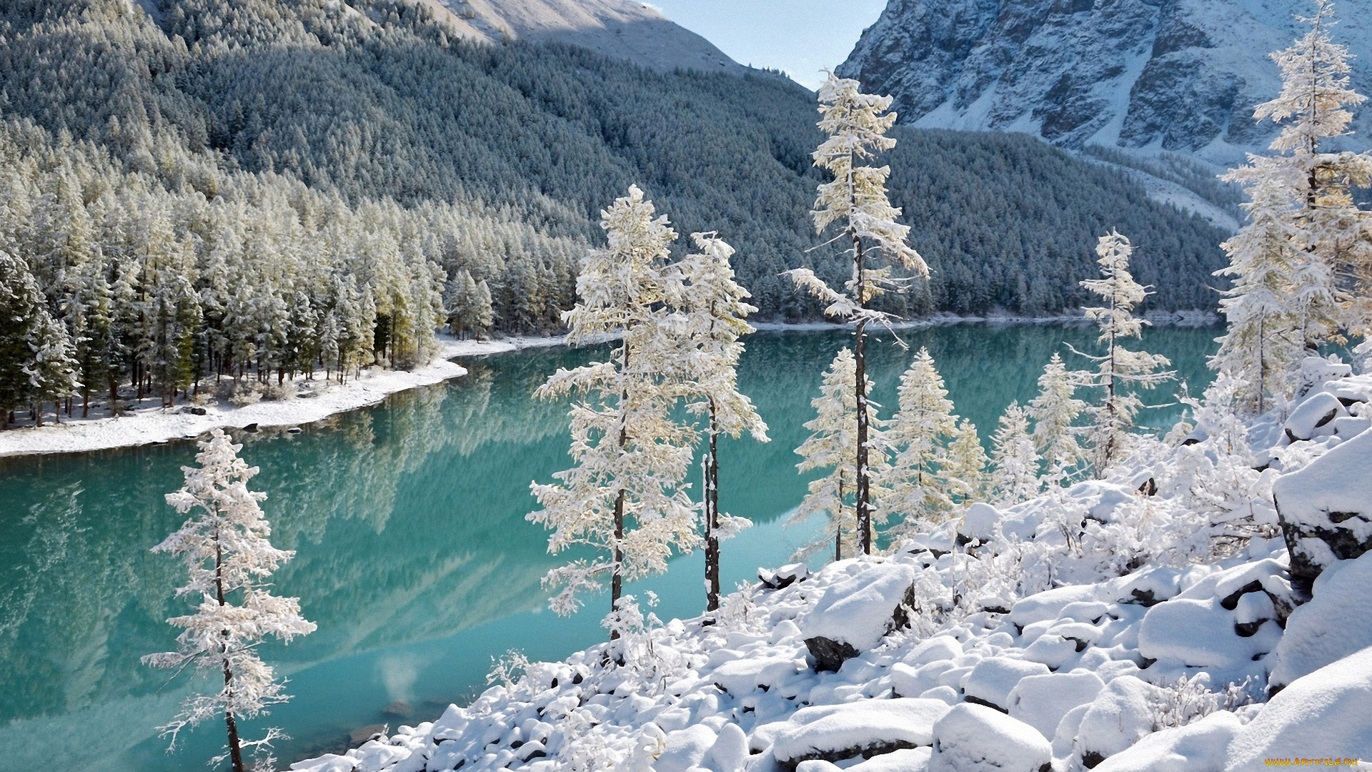 природа, зима, озеро, река, деревья, лес, простор, снег