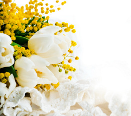 Картинка цветы разные+вместе мимоза белый фон тюльпаны
