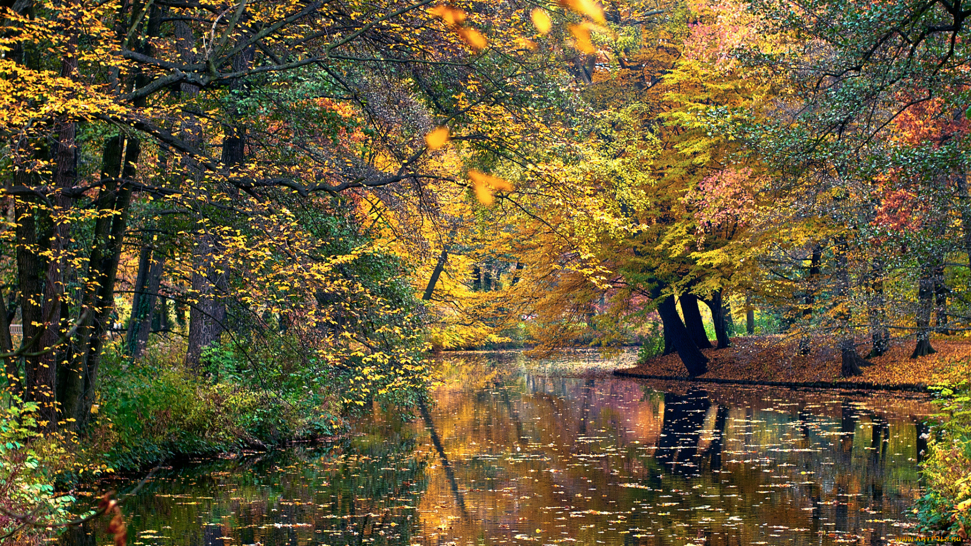 природа, реки, озера, вода, осень, листья