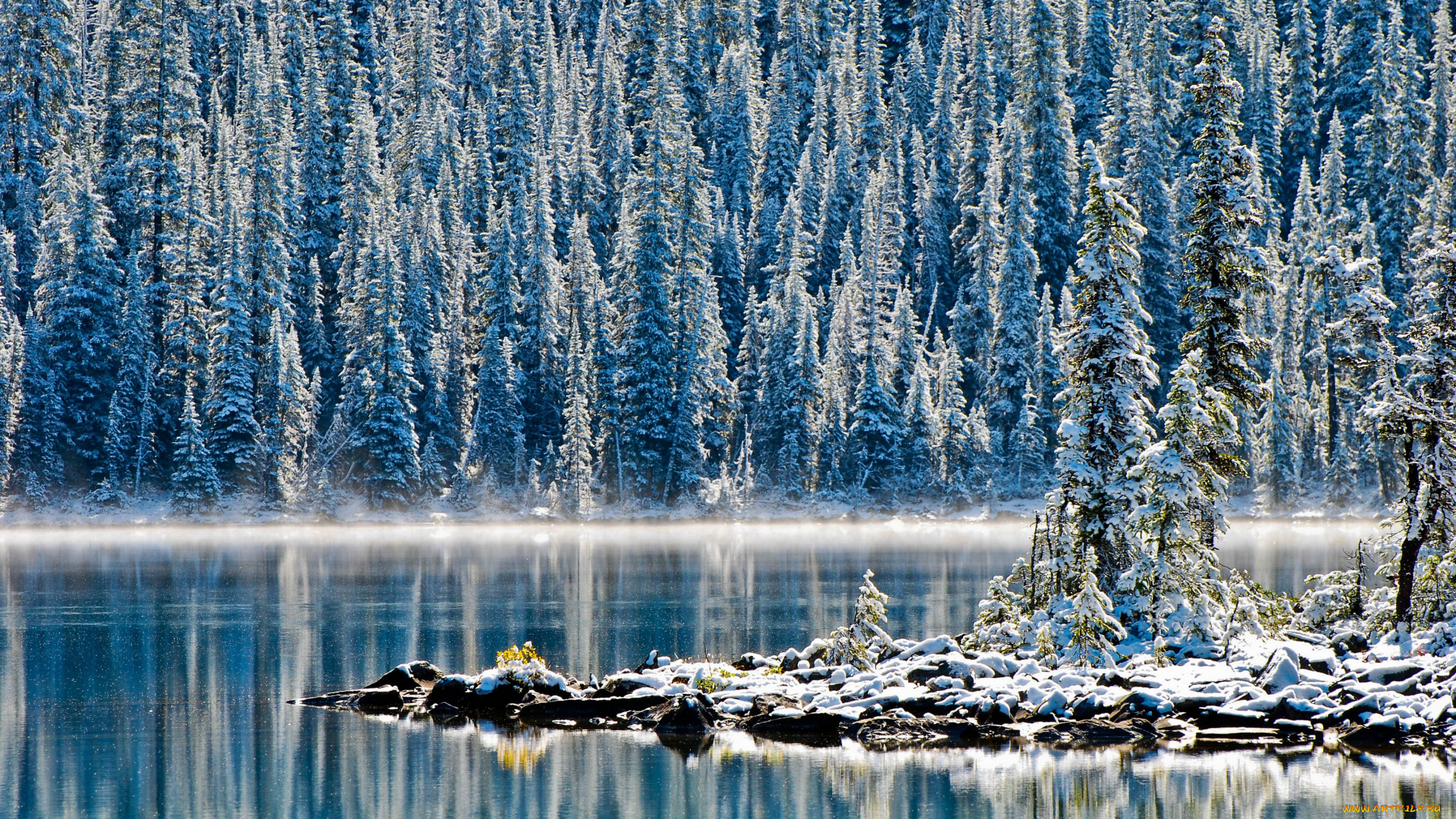природа, зима, снег, канада