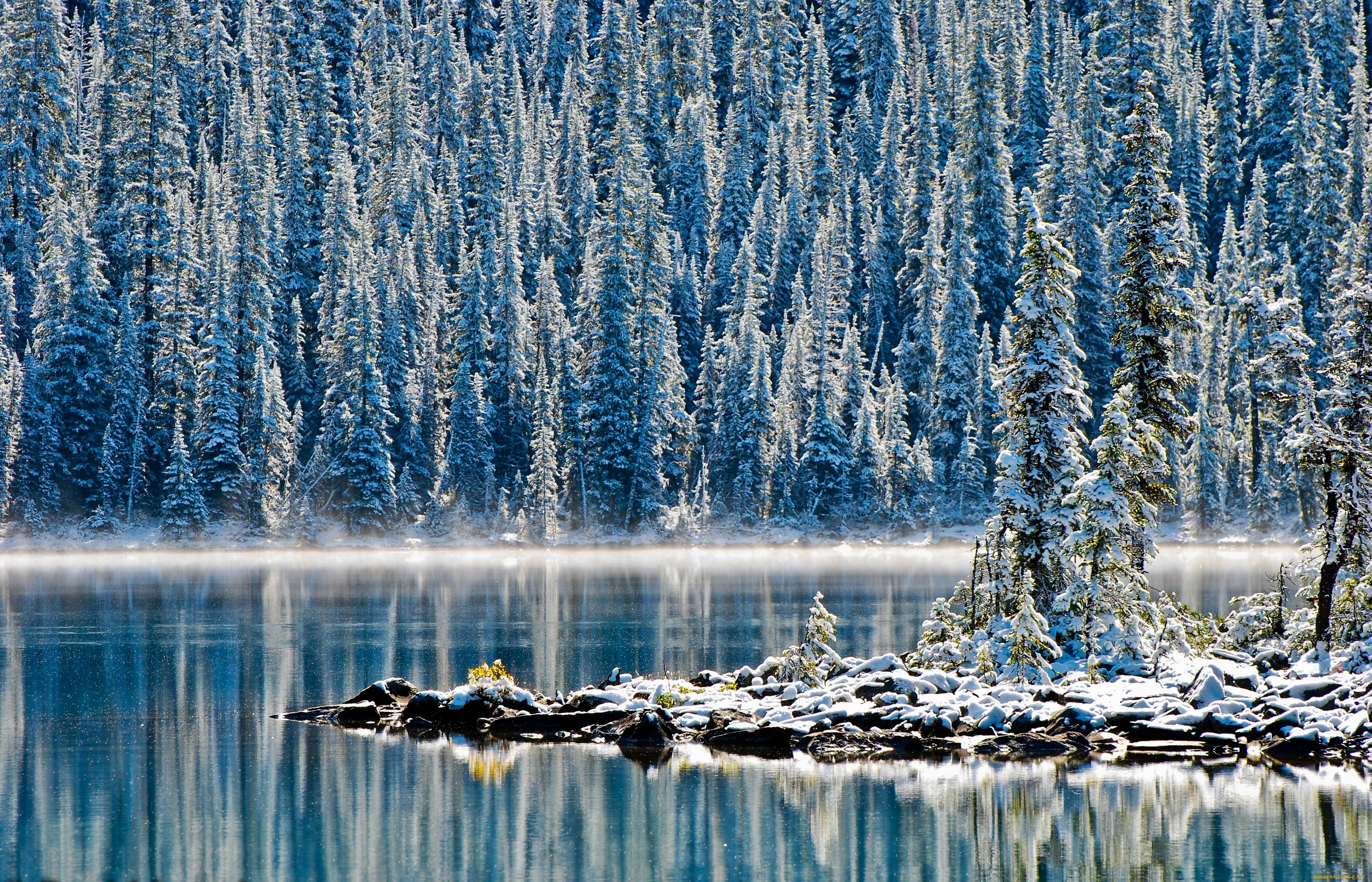 природа, зима, снег, канада