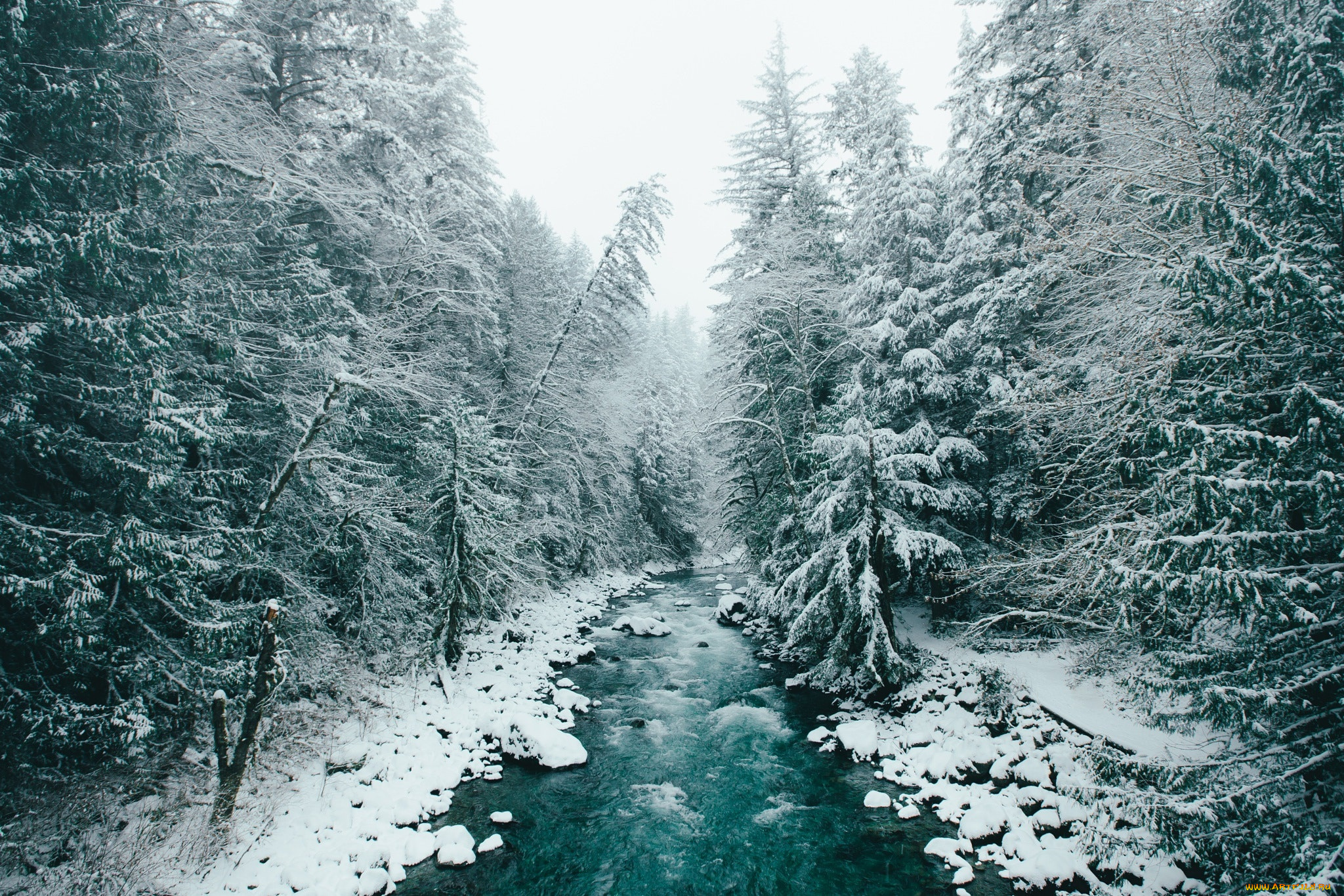 природа, реки, озера, деревья, снег, лес, зима, река