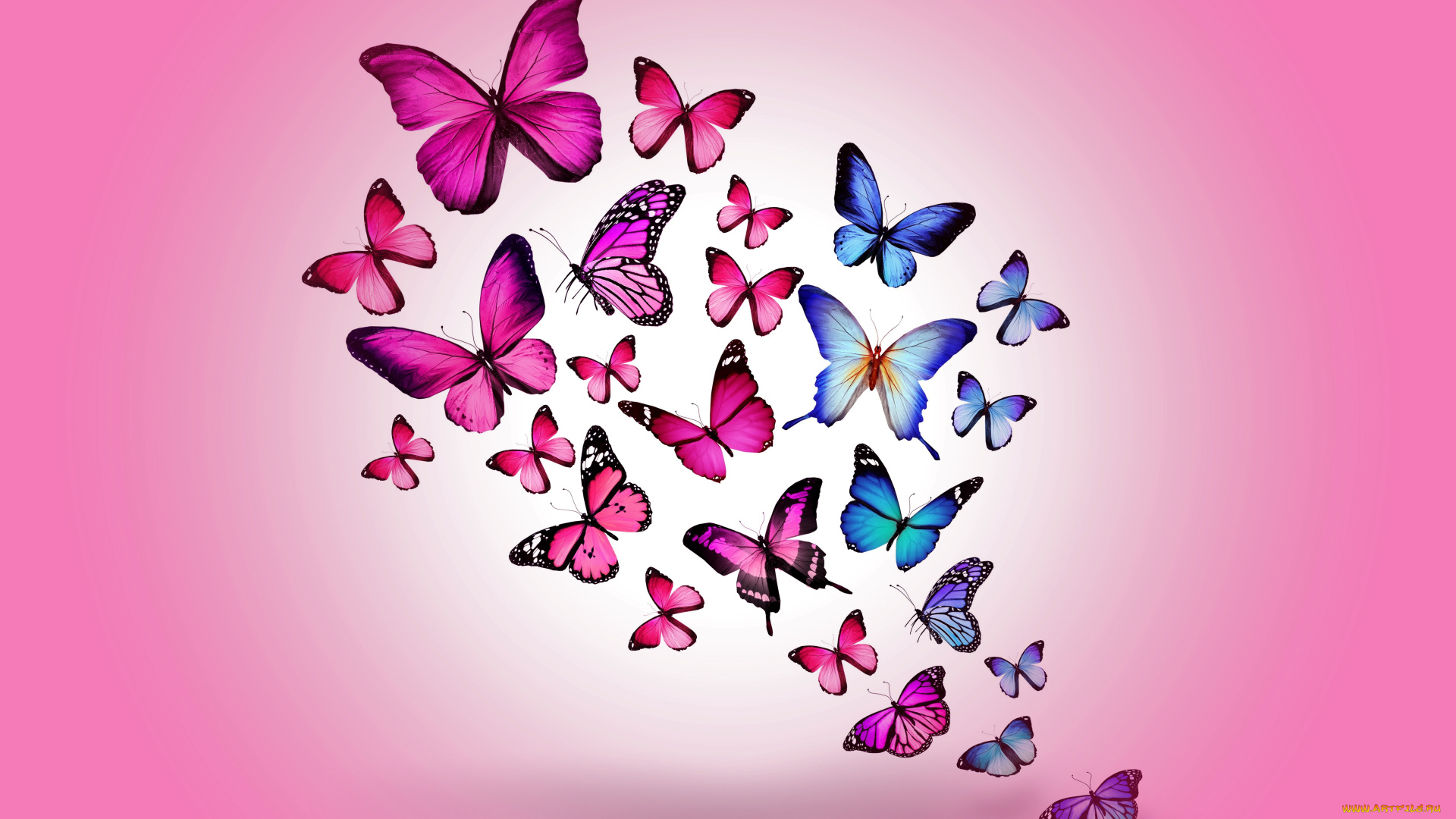 рисованные, животные, , бабочки, colorful, marika, design, butterflies, бабочки, blue, pink