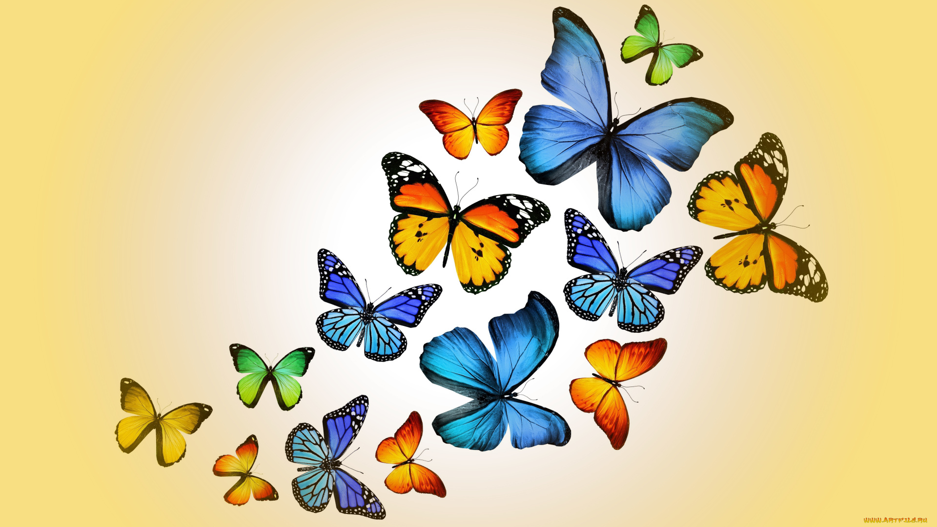 рисованные, животные, , бабочки, marika, design, butterflies, colorful, yellow, бабочки