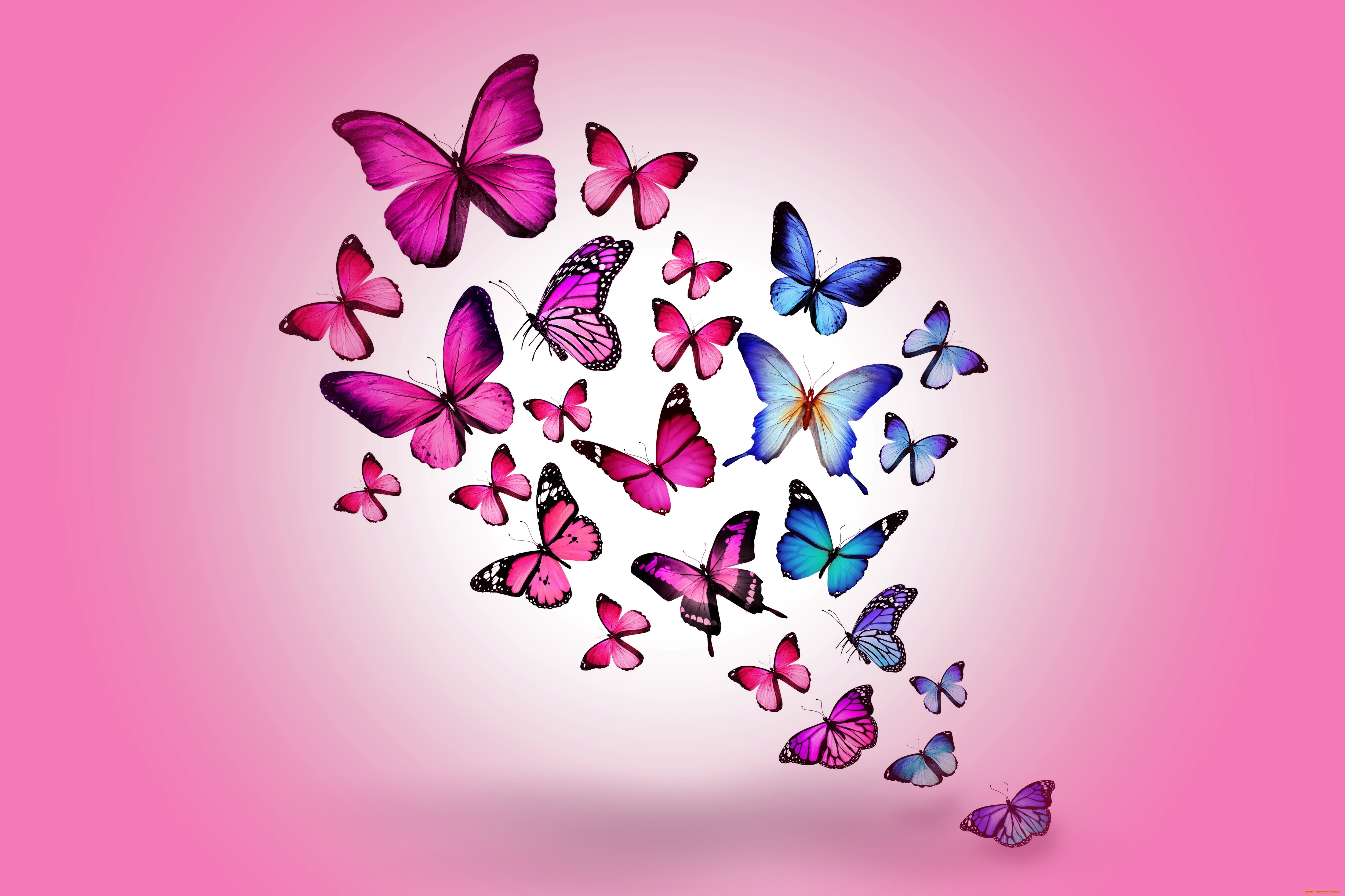рисованные, животные, , бабочки, colorful, marika, design, butterflies, бабочки, blue, pink