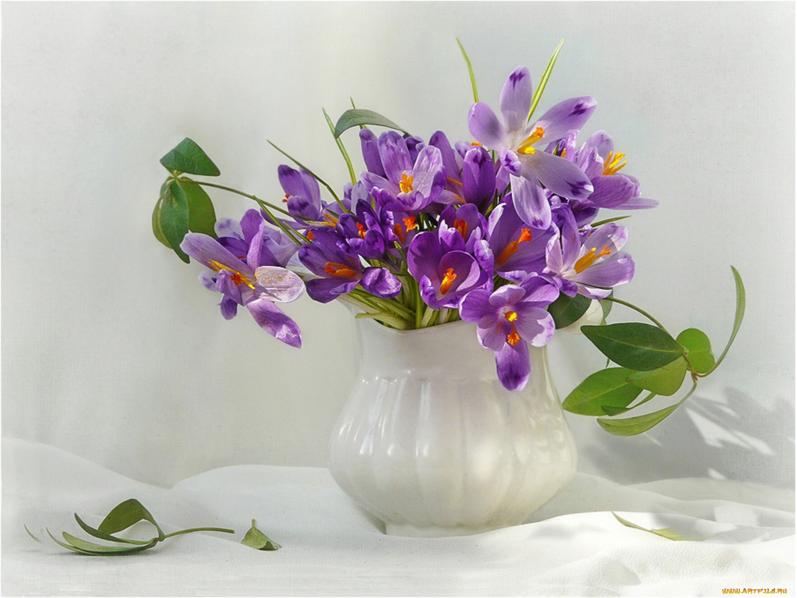 цветы, крокусы, ваза
