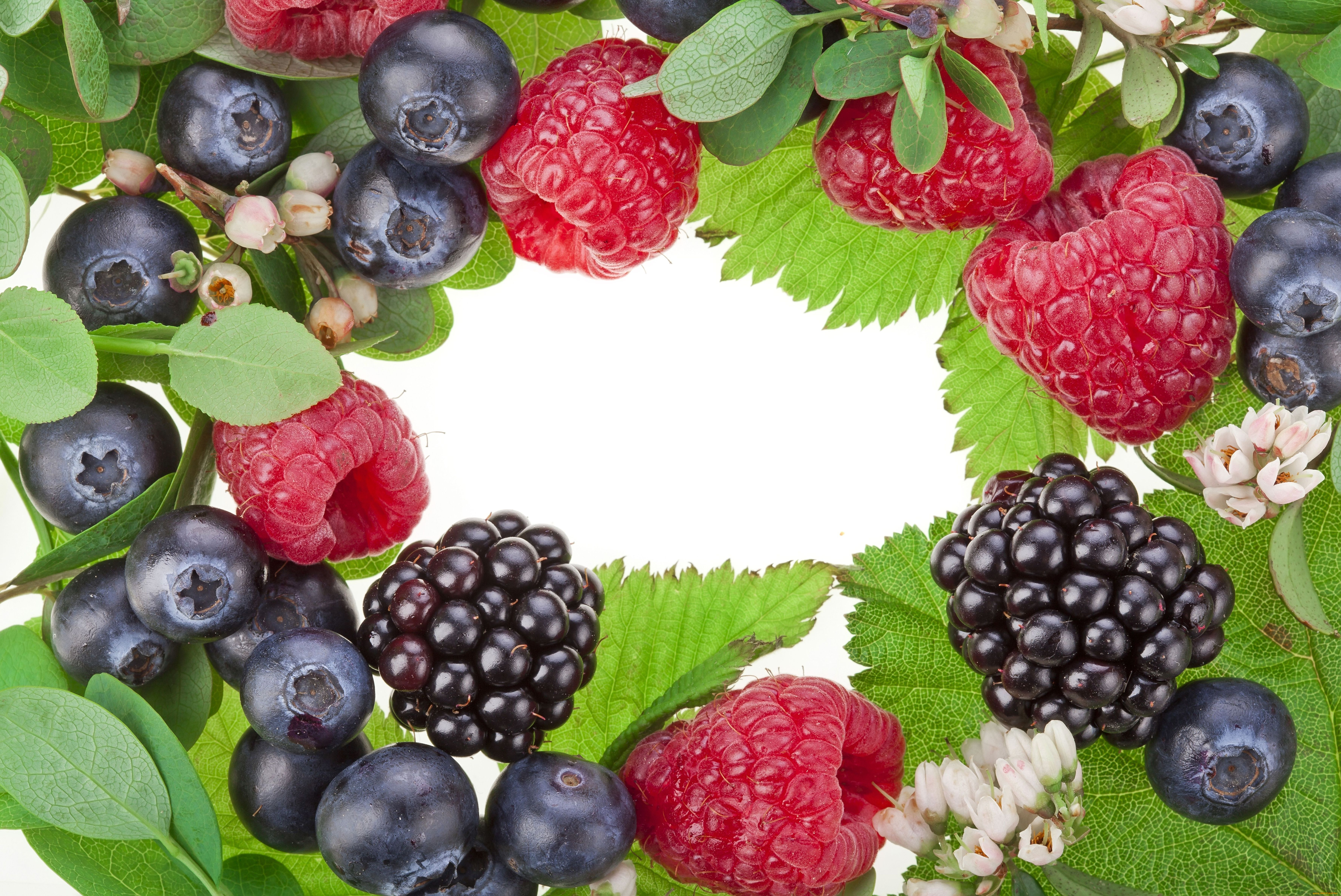 еда, фрукты, ягоды, ежевика, малина, черника, листья, цветы