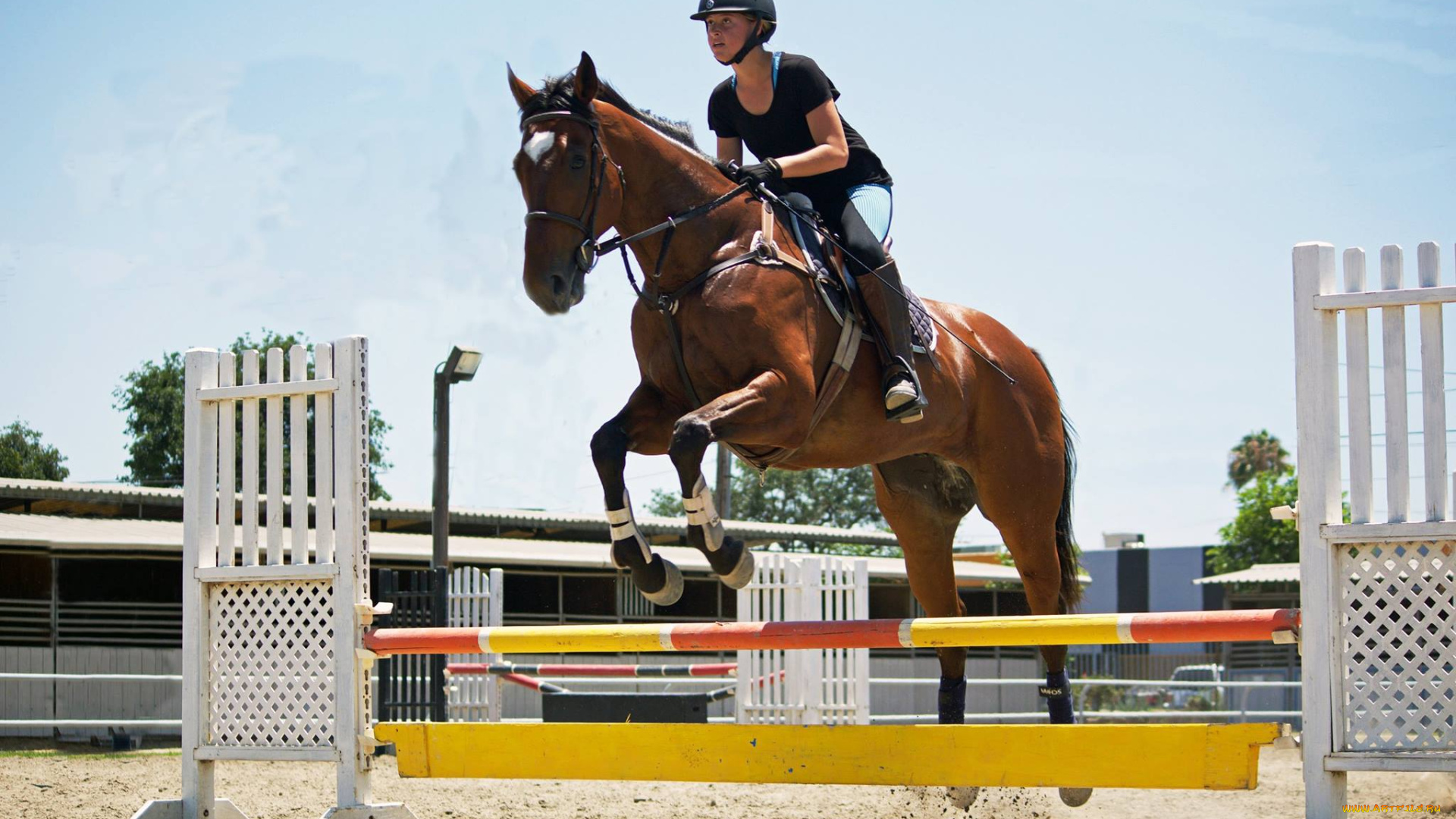 спорт, конный, спорт, прыжок, лошадь